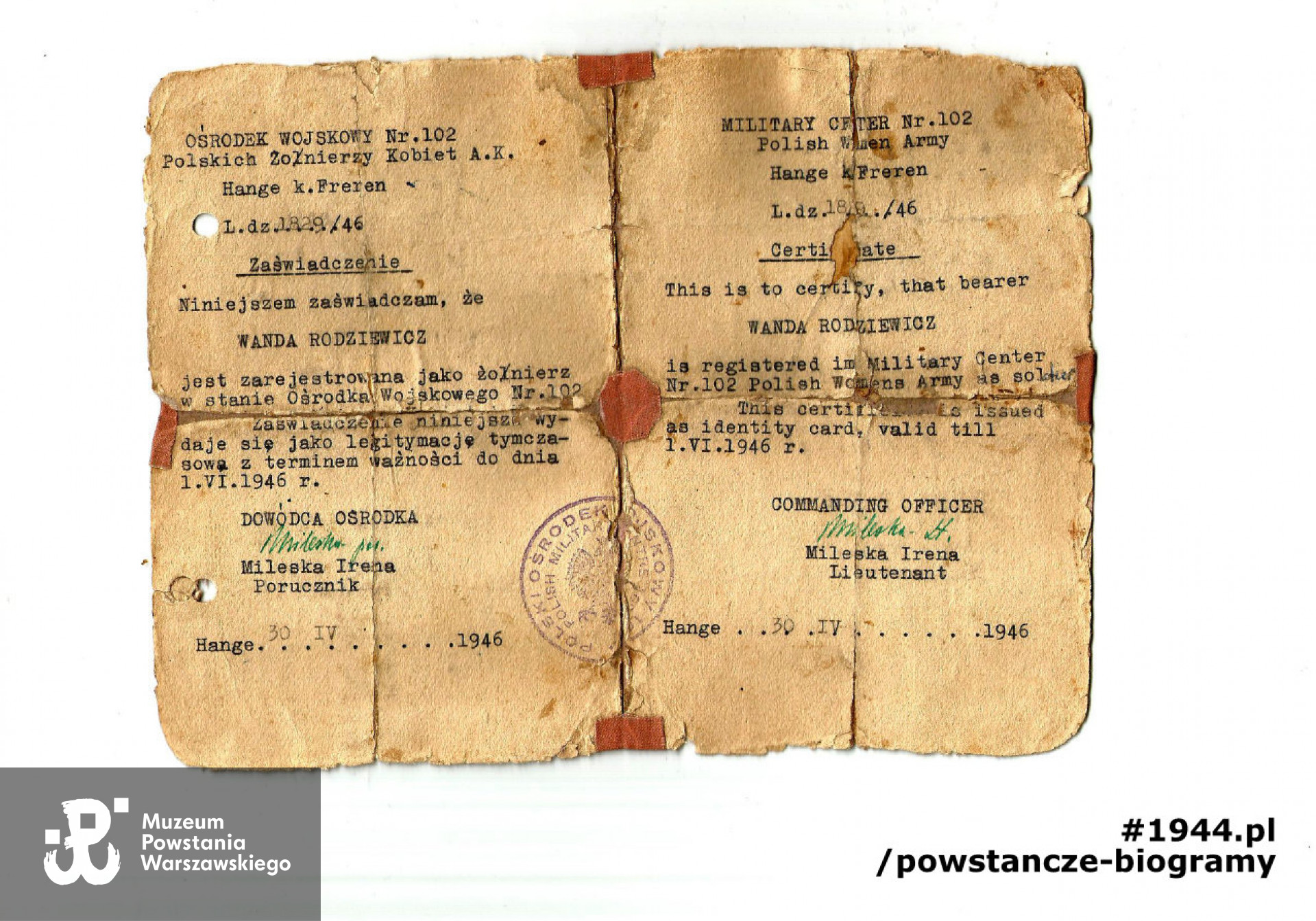 Zaświadczenie  wystawione przez Polski Ośrodek Wojskowy nr 102 w Hange k. Freren. Na dokumencie widoczny podpis dowódcy ośrodka por. Marii Ireny Mileska ps. "Jaga" (1908-1988). Z archiwum rodzinnego syna, p. Leszka Rodziewicza
