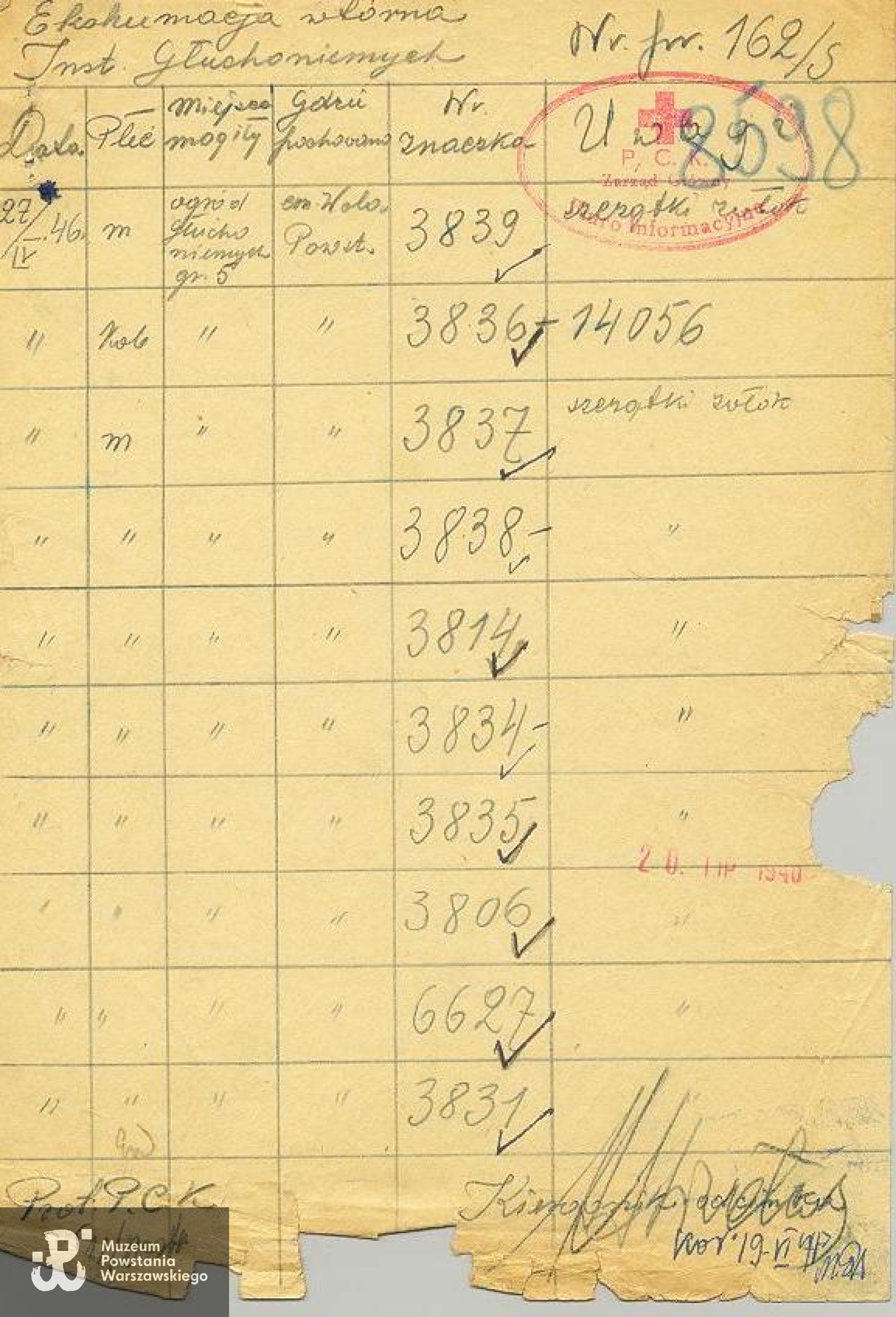 Polski Czerwony Krzyż - protokoły ekshumacyjne PCK