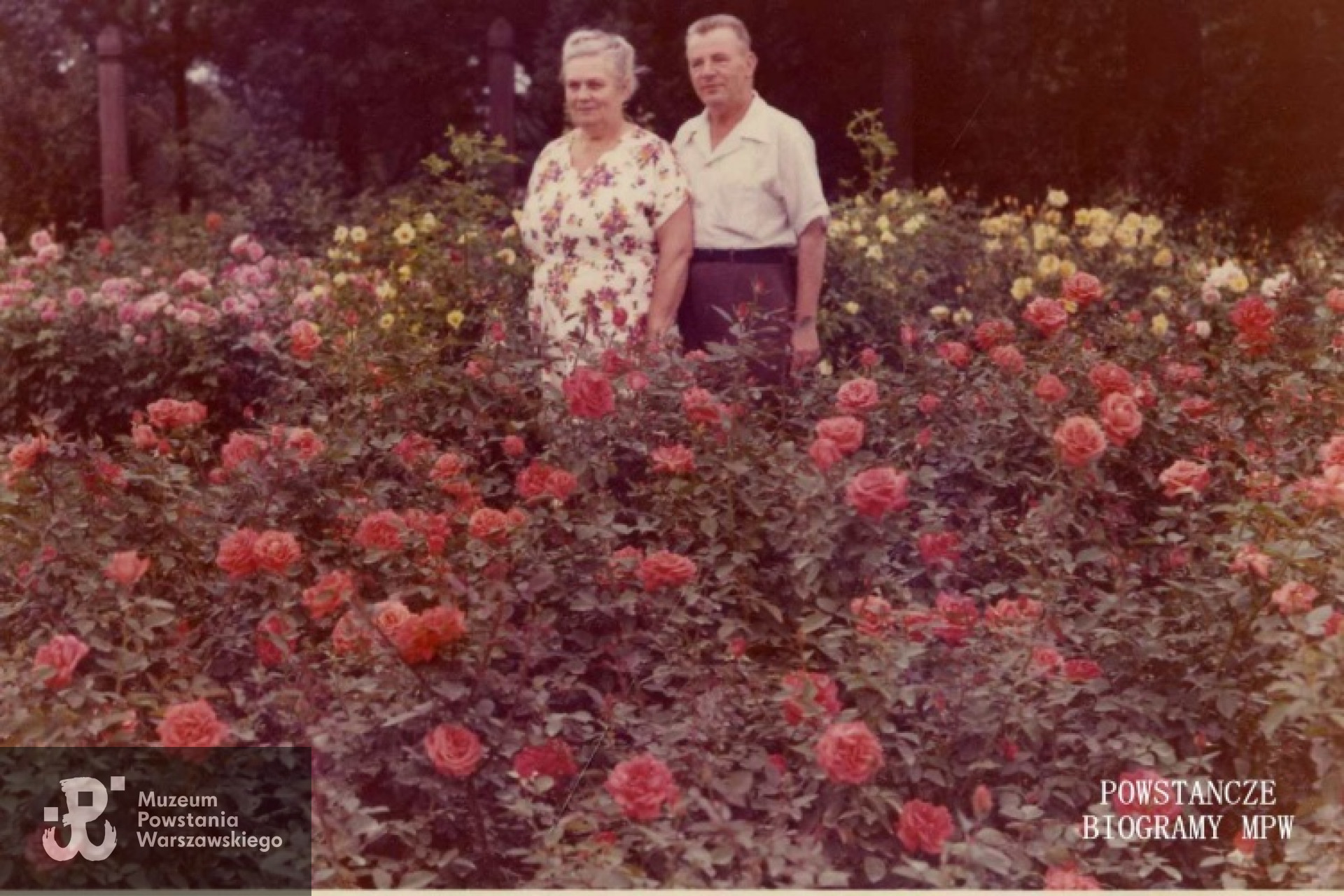 Stanisław Zwoliński z żoną Zofią, Milwaukee, Wisconsin, USA. Fot. wykonana około roku 1970. Z archiwum rodzinnego Tadeusza Piotrowskiego.