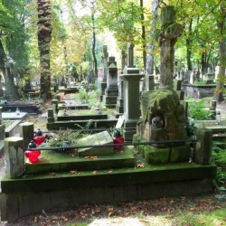 Fot. Warszawskie Zabytkowe Pomniki Nagrobne:  serwis mapowy m. st. Warszawy: <i>cmentarze.um.warszawa.pl</i>