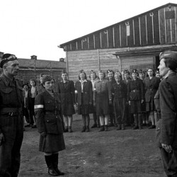 Obóz w Oberlangen - zbiórka po wyzwoleniu przez oddział 2. pułku pancernego 1. Dywizji Pancernej gen. Maczka. Pierwsza z lewej (w okularach) Janina Płoska - 