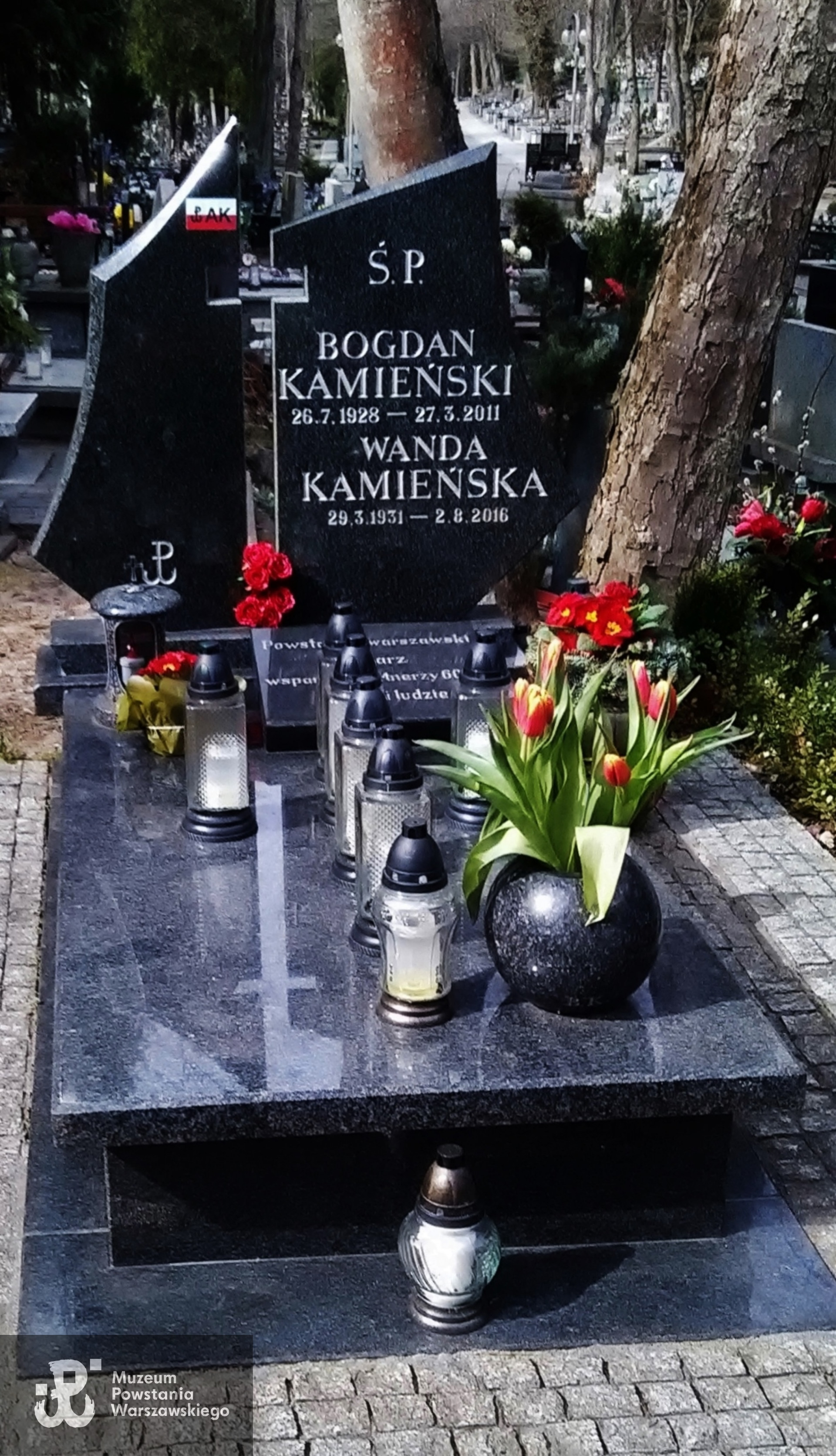 Cmentarz Witomiński w Gdyni, fot. p. Regina Grandowicz