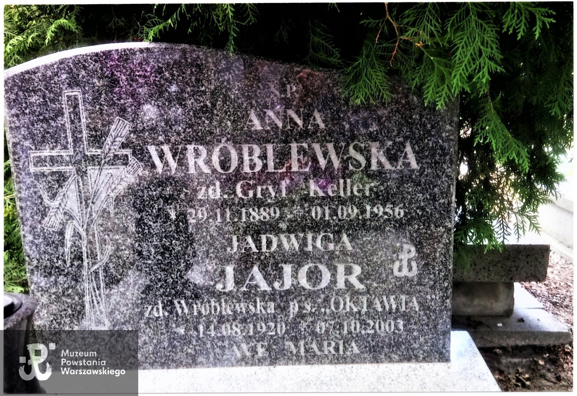  Cmentarz Grabiszyński we Wrocławiu, kwatera (pole)  19, rząd 9,  grób 292.  Fot. ze zbiorów rodzinnych