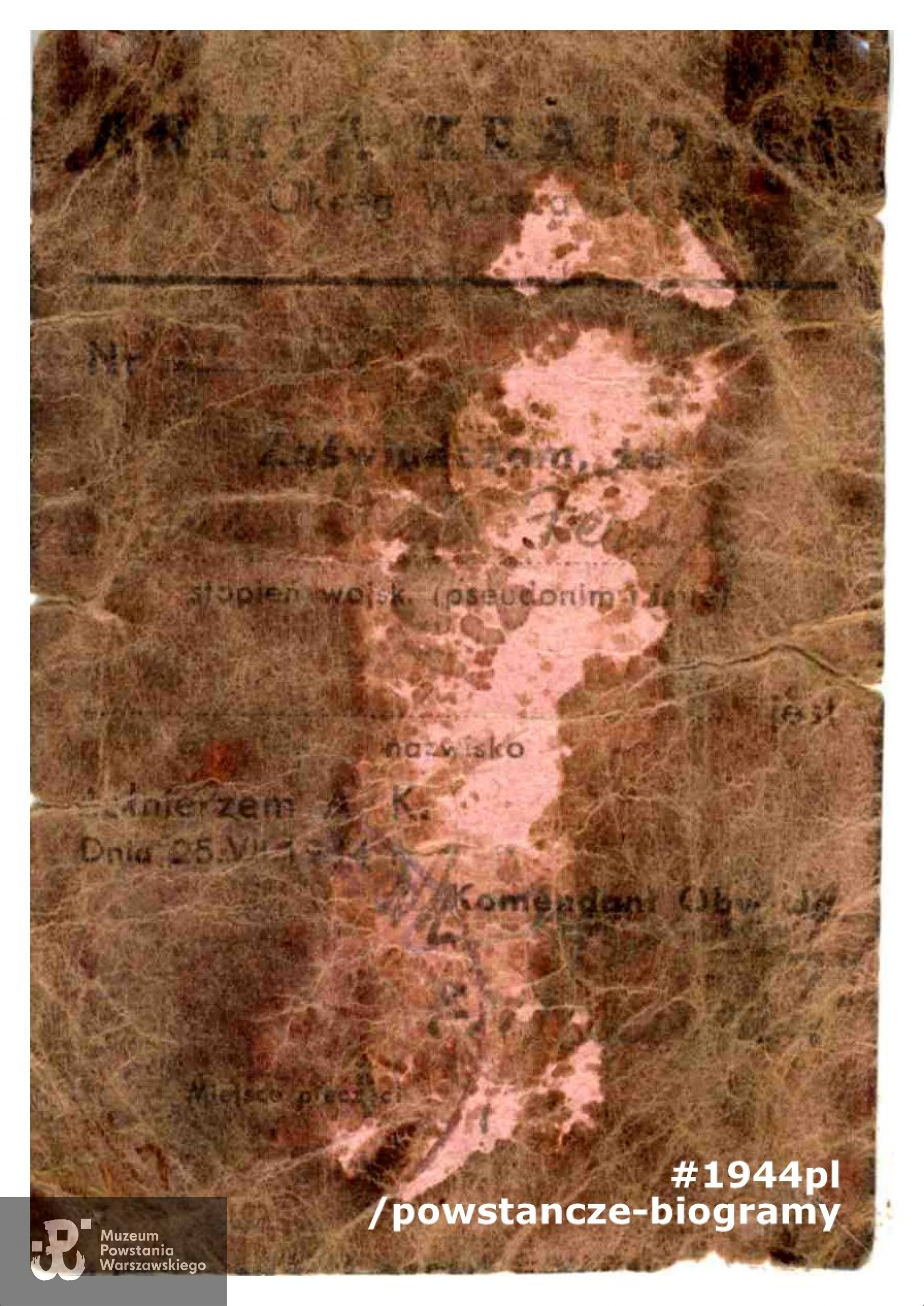 Legitymacja Armii Krajowej  wystawiona dla strz. Ferdynanda Onufrowicza, znaleziona przy nim podczas ekshumacji. Dokument ze zbiorów Muzeum Powstania Warszawskiego, sygn. MPW-A/1785 (P/2227), dar Zbigniewa Onufrowicza
