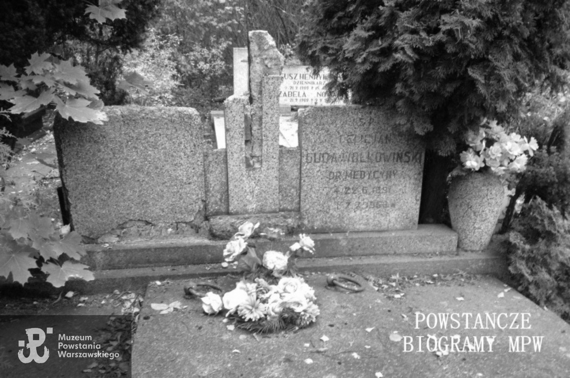 Cmentarz Junikowo. Fot. <i> domena publiczna</i>