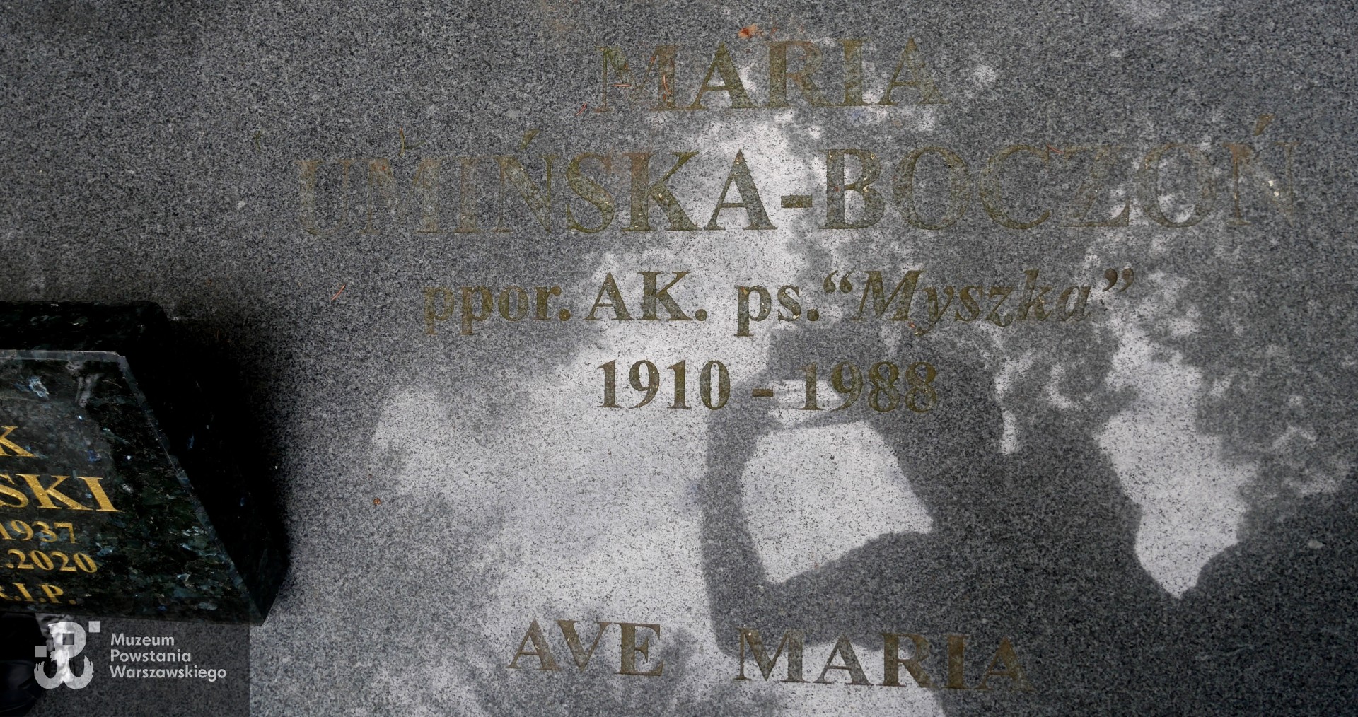 Cmentarz Centralny w Szczecinie, kwatera 23 A, rząd 8, grób 11. Fot. ze zbiorów rodzinnych, udostępnił p. Janusz Bielicki