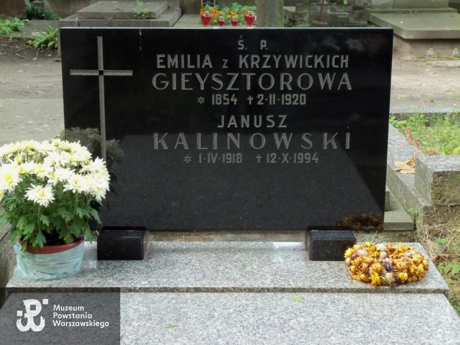 Cmentarz Powązkowski w Warszawie (Stare Powązki), kwatera 62, rząd 5, grób 4. Fot. Warszawskie Zabytkowe Pomniki Nagrobne:  serwis mapowy m. st. Warszawy: <i>cmentarze.um.warszawa.pl</i>