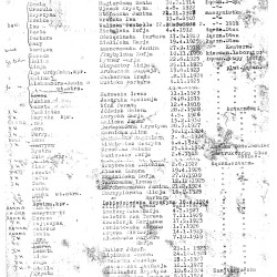 Muzeum Powstania Warszawskiego, Teczki personalne uczestników Powstania Warszawskiego: kopia listy kobiet Batalionu Szturmowego 