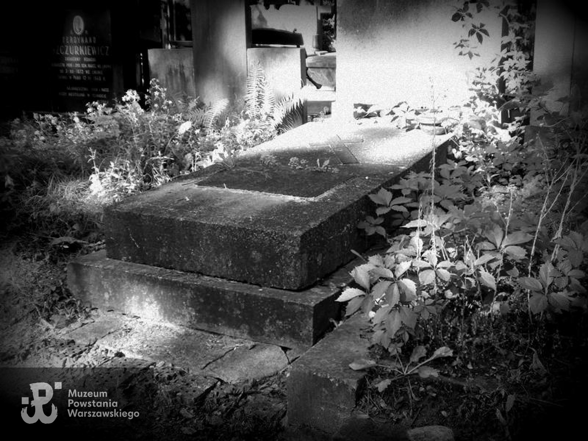 Fot. Warszawskie Zabytkowe Pomniki Nagrobne - <i>cmentarze.um.warszawa.pl</i>