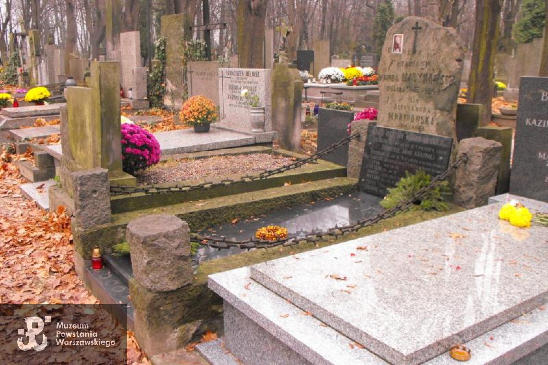 Cmentarz Powązkowski w Warszawie, kwatera 89, rząd 2, grób 22