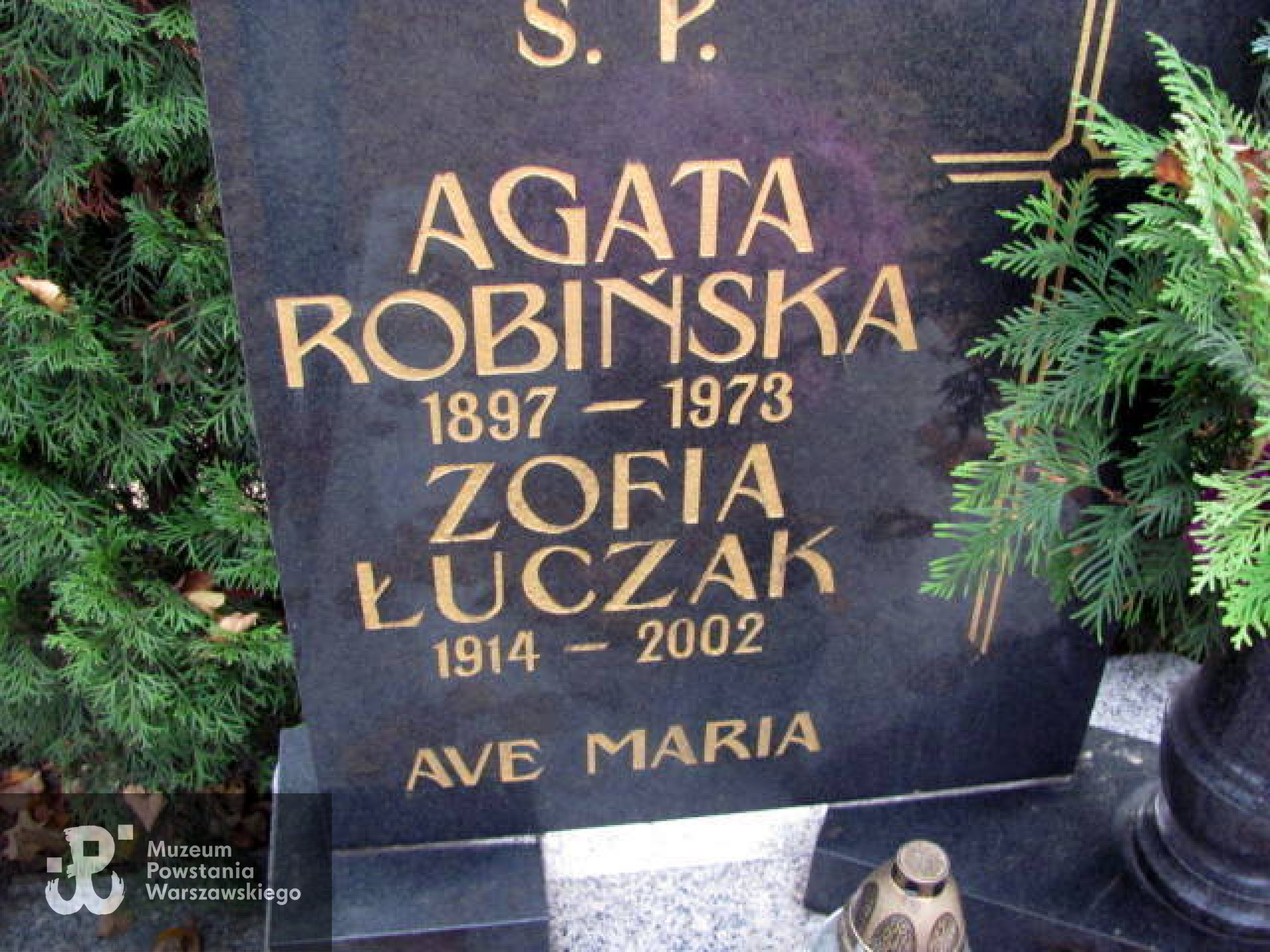 Źródło: www.krotoszyn36.grobonet.com