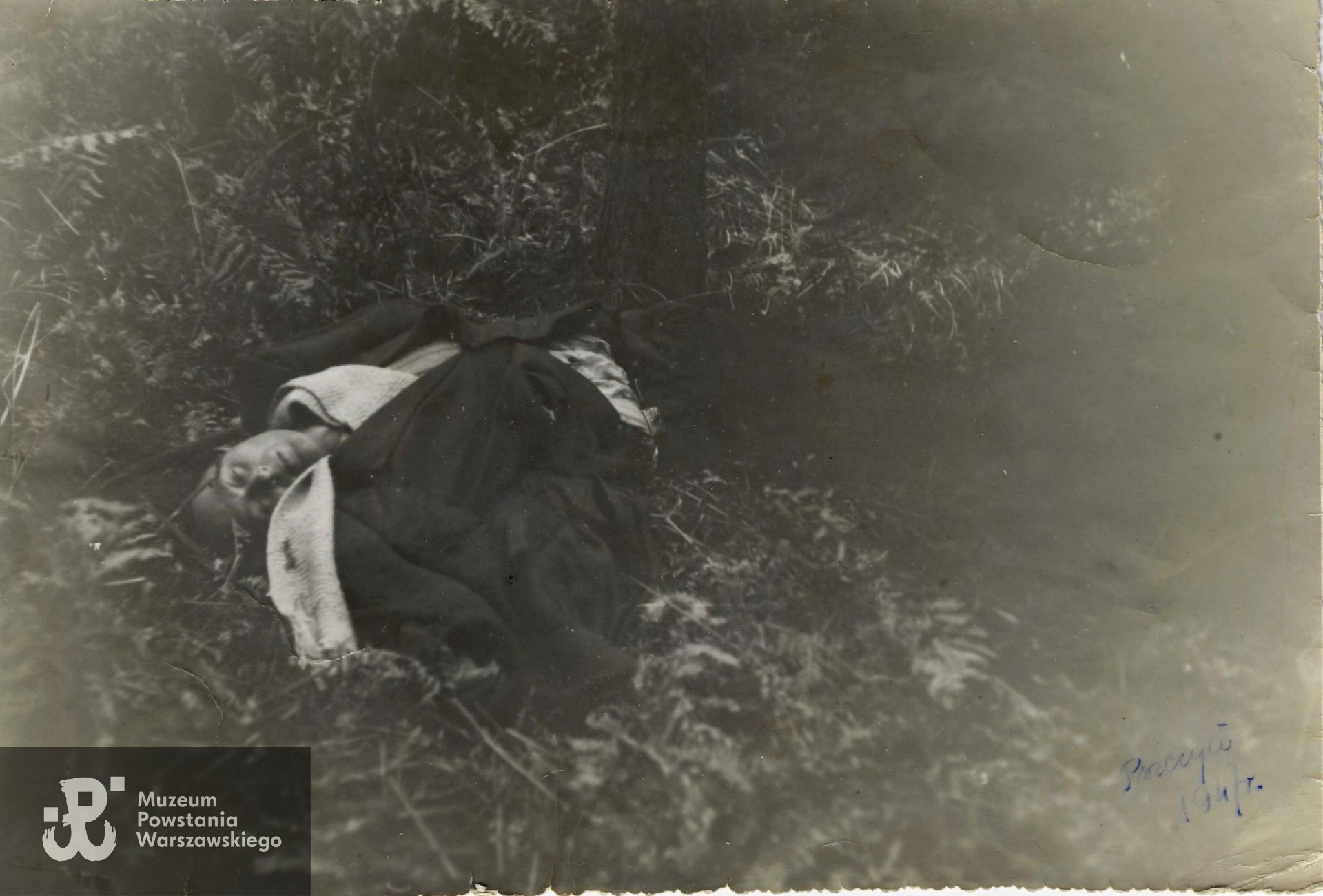 Stefan Sentowski  zastrzelony przez nieznanych sprawców w miejscowości Pszczyna, 7.11.1946 roku, źródło: dokumentacja fotograficzna Komendy Powiatowej M.O. w Pszczynie). Zdjęcie publikujemy na prośbę rodziny i  Stowarzyszenia Żołnierzy Armii Krajowej Żywiciel i Miłośników Ich Tradycji,  w nadziei, że ktoś ze świadków lub  z rodzin Żołnierzy "Żaglowca" z plutonu saperskiego 201 potrafi powiedzieć coś więcej o okolicznościach śmierci Stefana Sentowskiego lub jego działaności niepodległościowej po 1945 r.  