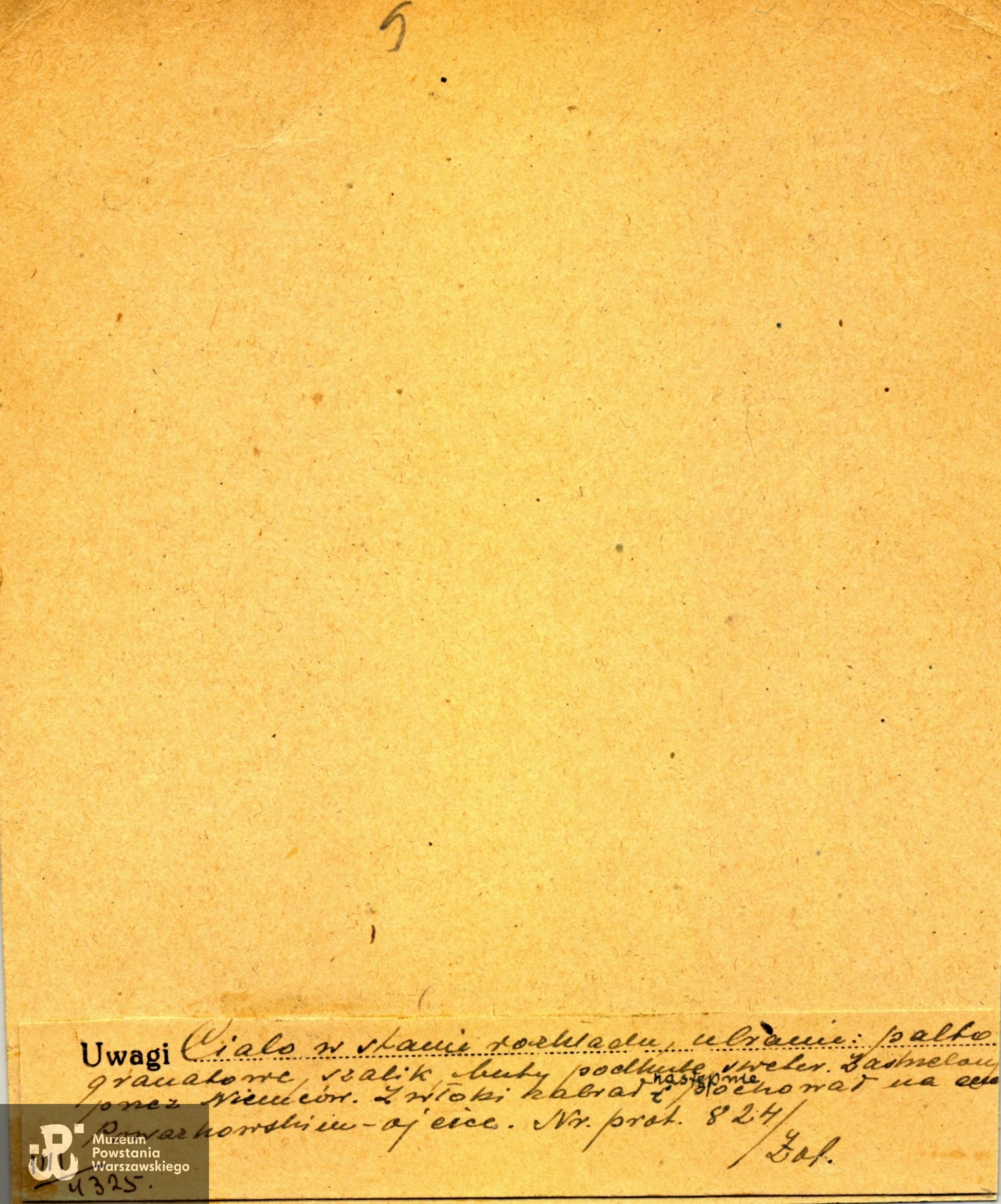  Polski Czerwony Krzyż - kartoteka