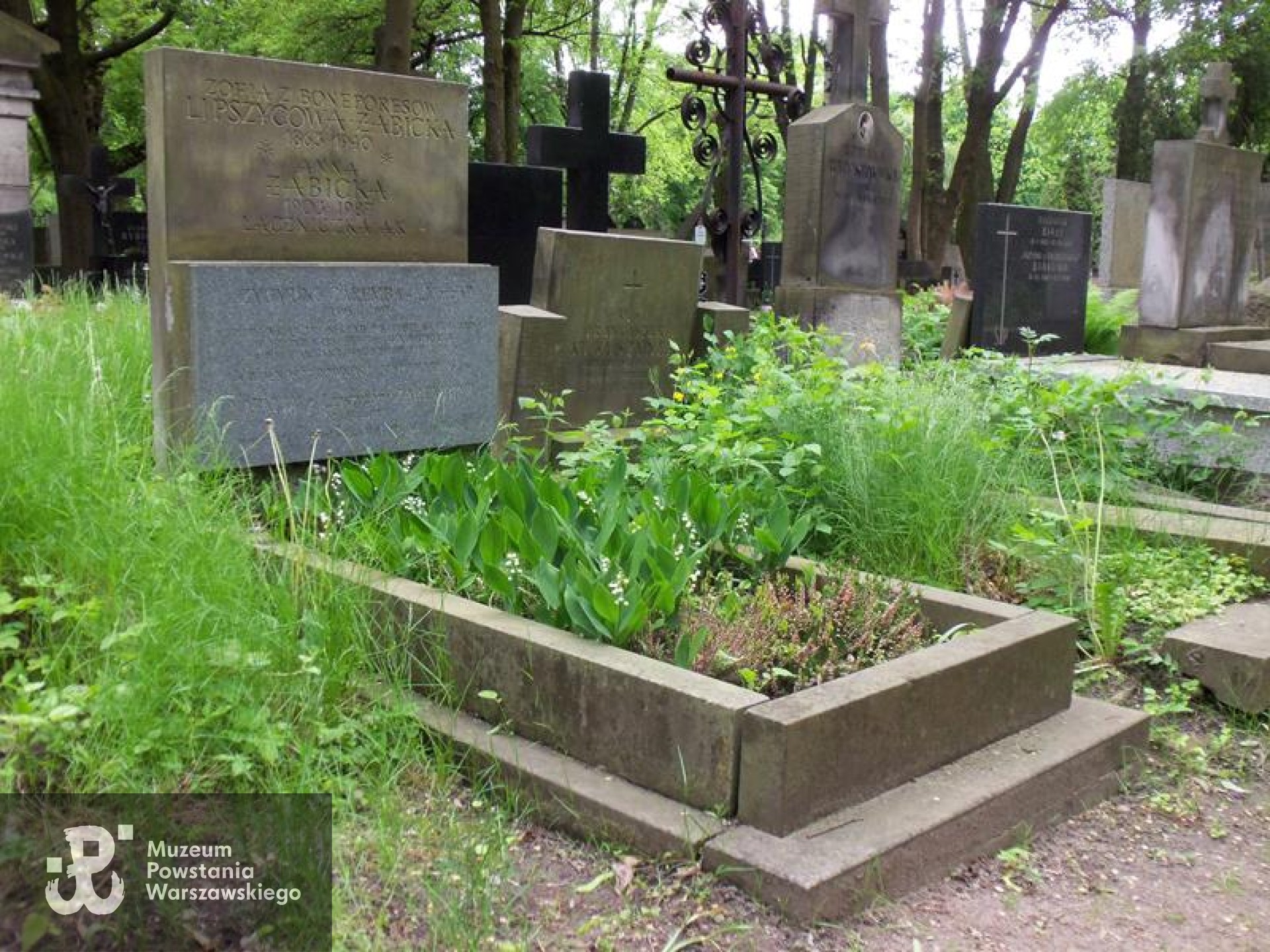 Cmentarz Powązkowski w Warszawie (Stare Powązki), kwatera  139, rząd 3, miejsce 26, stan przed renowacją pomnika
