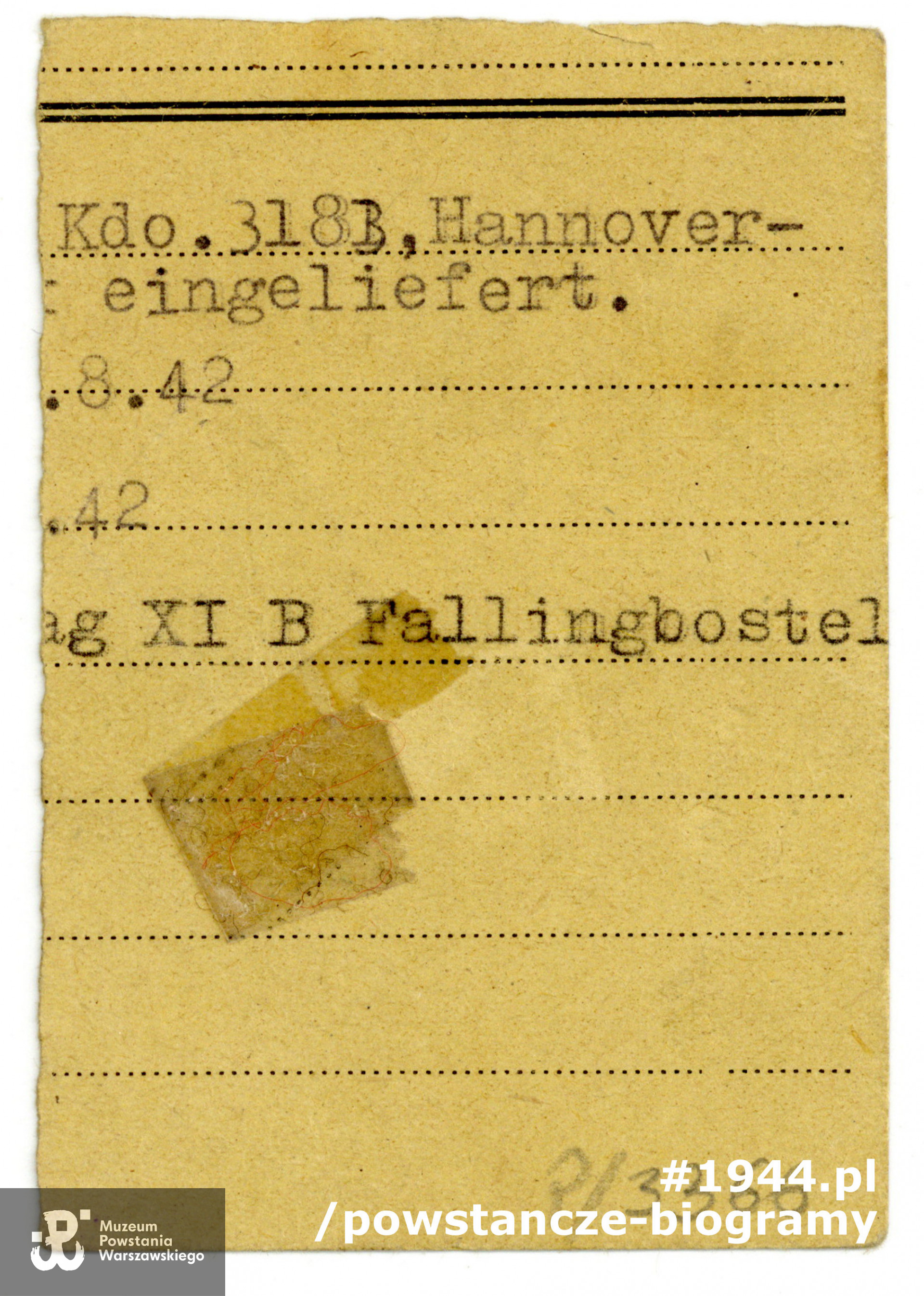 Ze zbiorów Muzeum Powstania Warszawskiego, sygn. P/3366-68, dar p. Danuty Zadig z domu Dowsin