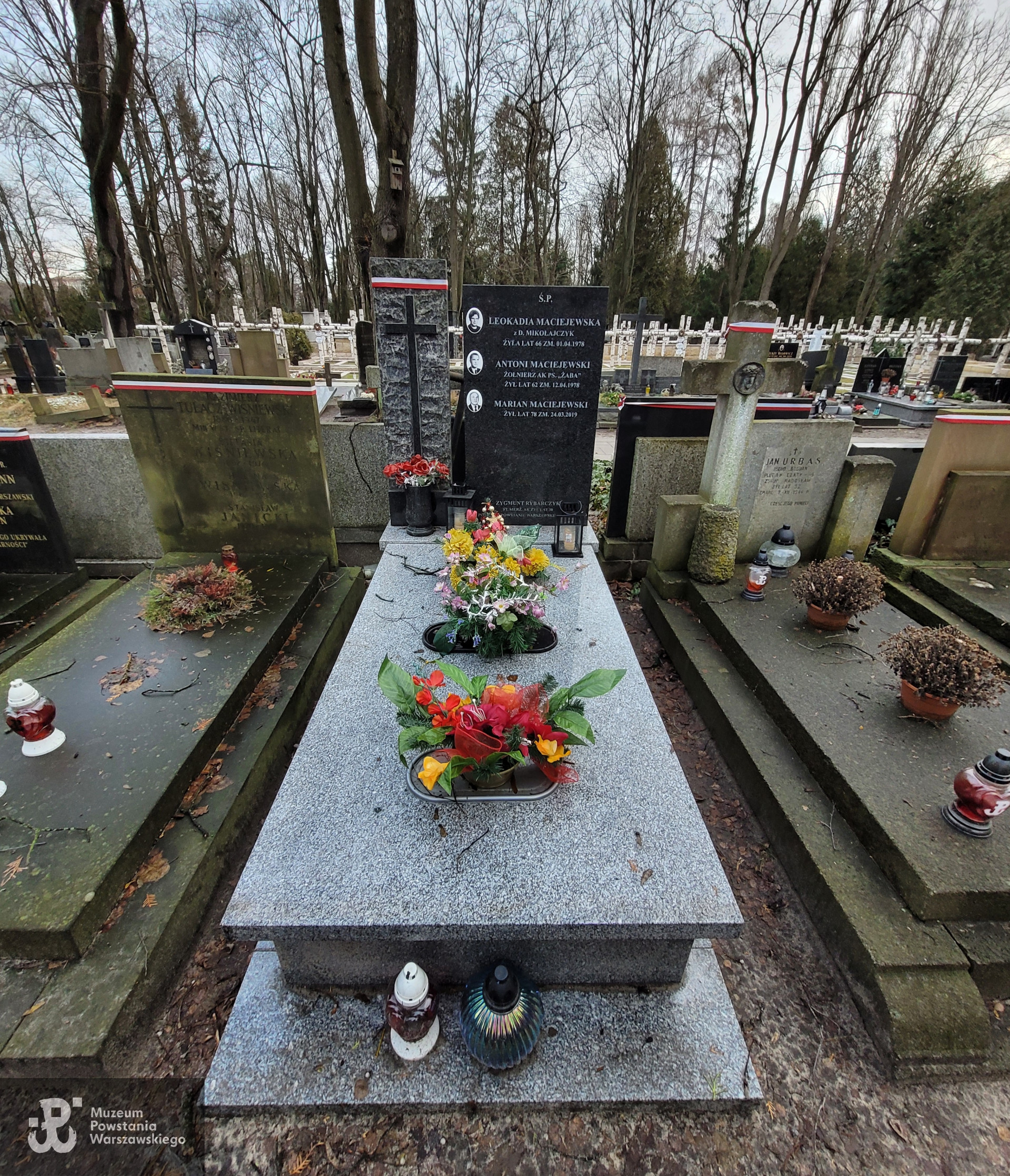 Fot. Remigiusz Stefani (2022)