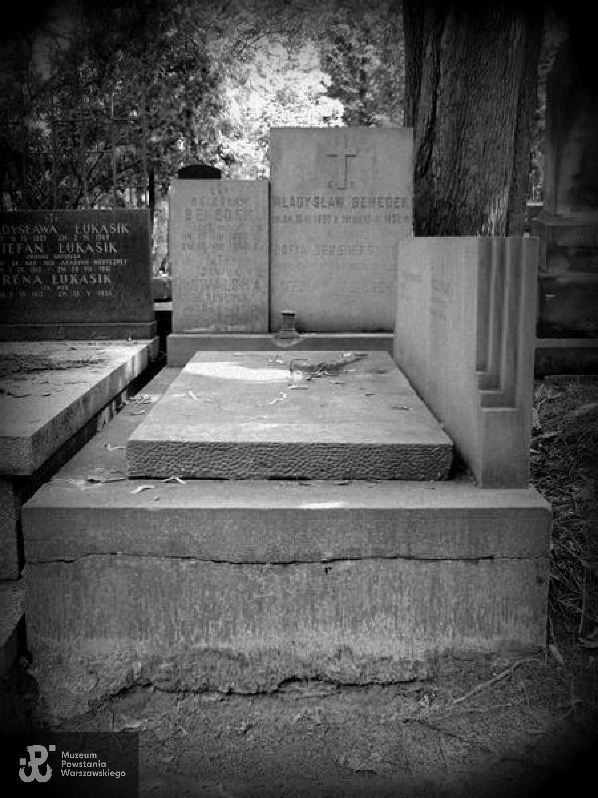 Fot. Warszawskie Zabytkowe Pomniki Nagrobne - <i>cmentarze.um.warszawa.pl</i>