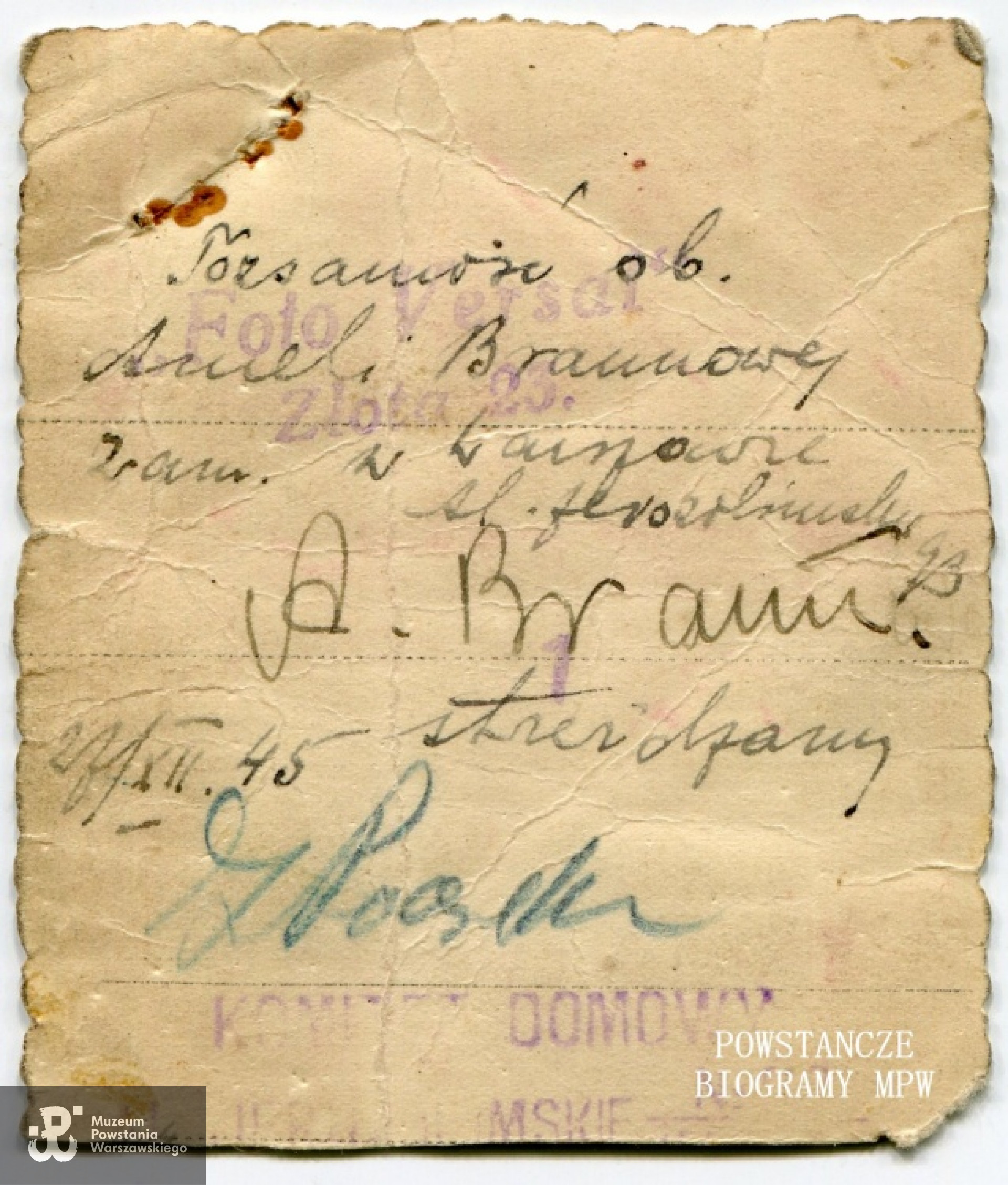 Z archiwum rodzinnego syna.