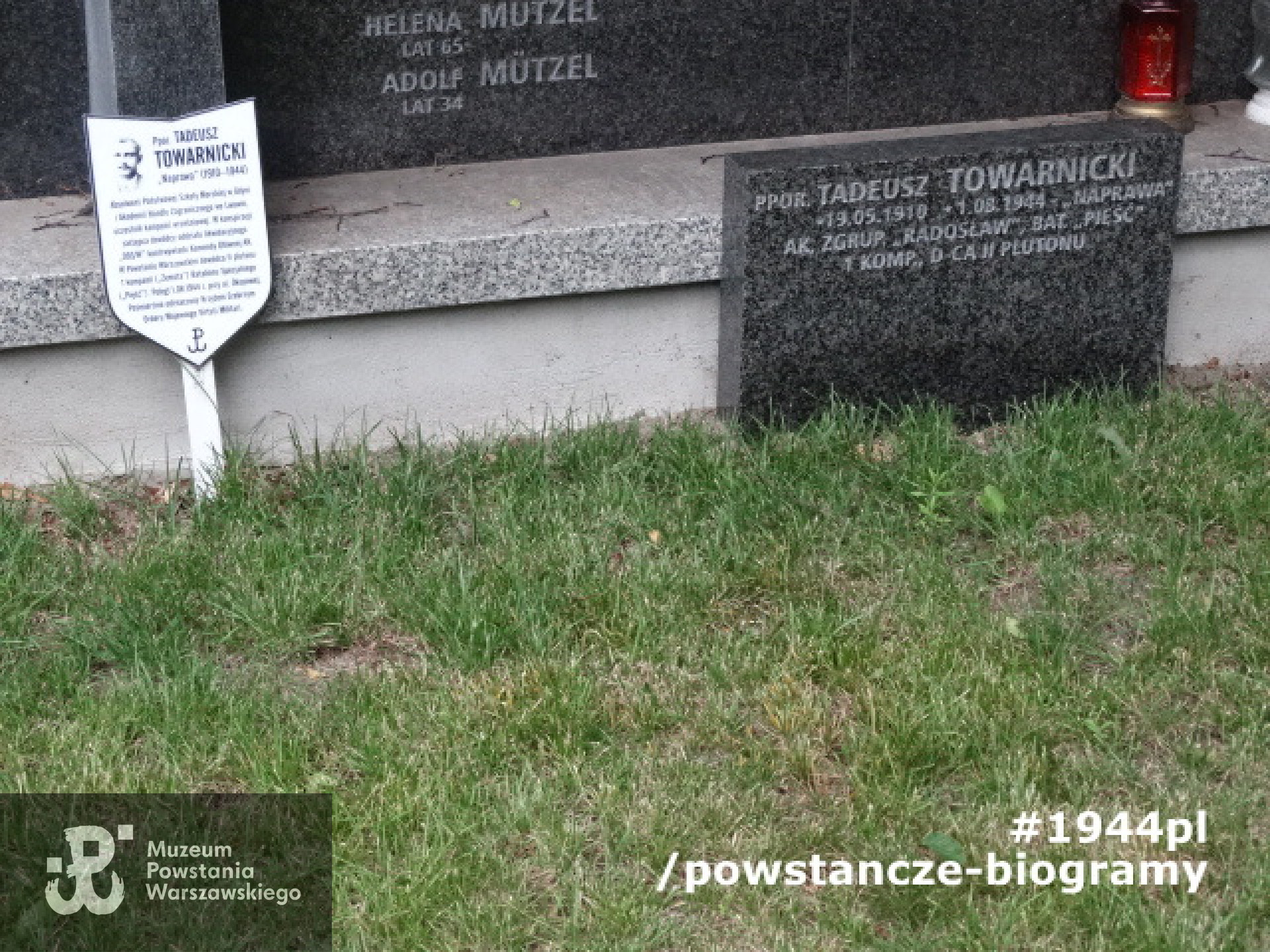 Cmentarz  Powstańców Warszawy (kw.158). Fot. Remigiusz Stefani