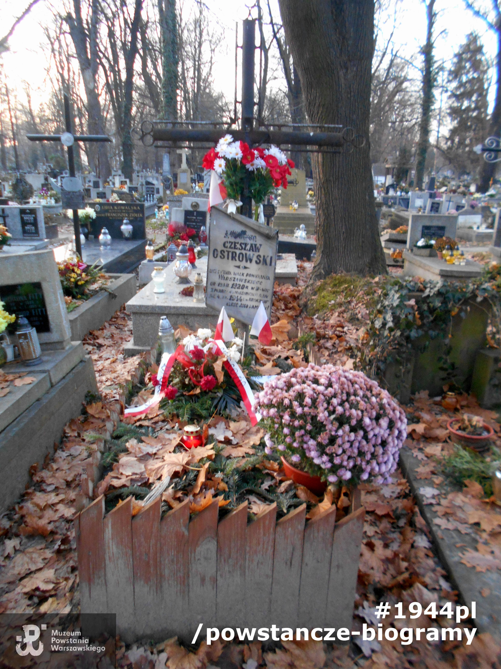 Fot. udostępniły p. Jadwiga Kacperek - Kluska i p. Beata Trzcińska