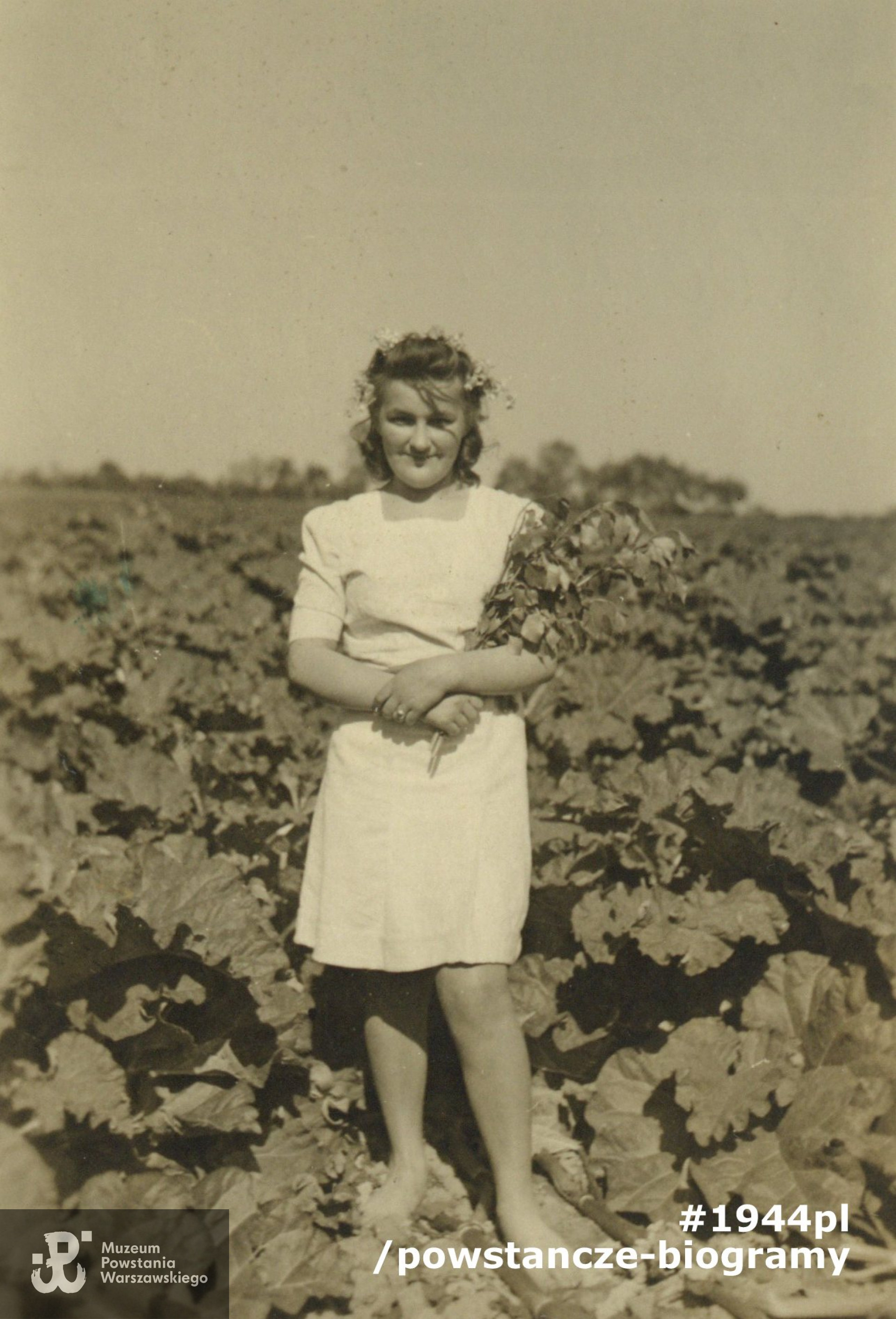 Hanna Sikorska  przed wybuchem Powstania Warszawskiego, latem 1944 roku - powrót z Lasu Kabackiego, w wianku, wśród rabarbaru. Na rewersie zdjęcia data 3.06.1944 r. Fot. z archiwum rodzinnego p. Hanny Stadnik z d. Sikorskiej