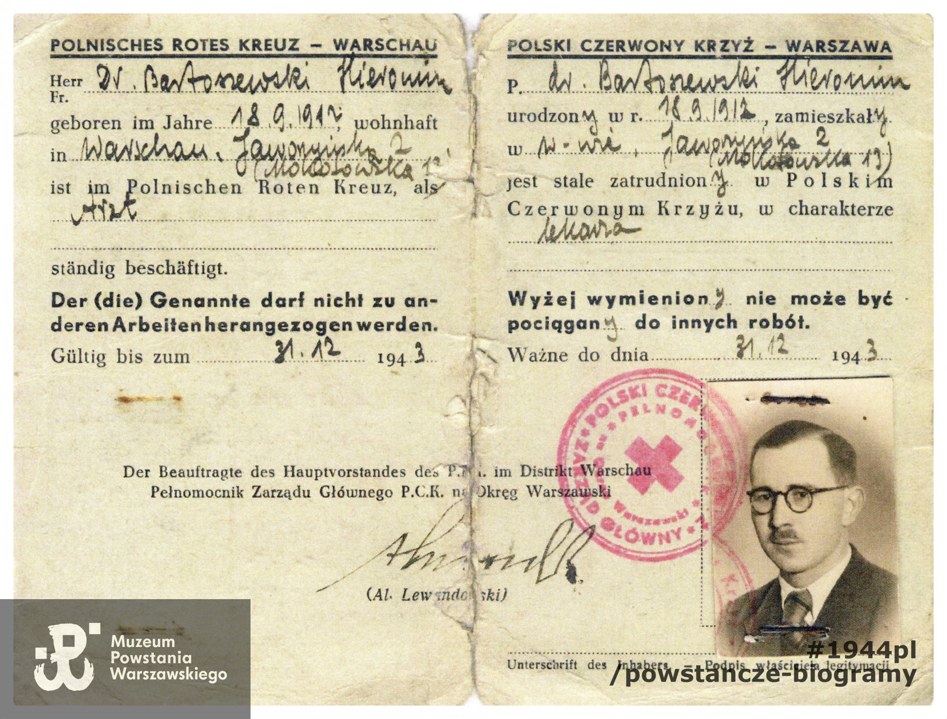 Zaświadczenie (Ausweis) o zatrudnieniu w Polskim Czerwonym Krzyżu w charakterze lekarza. Dokument wystawiony w grudniu 1943 roku. Dokument ze  zbiorów rodzinnych