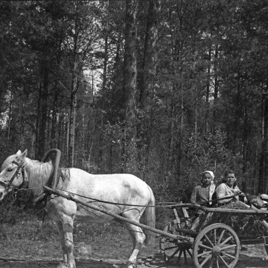 negatywy oryginalne sceny  rodzajowe/ rodzinne z epoki