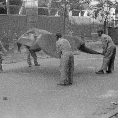 Fotografia z Powstania Warszawskiego autorstwa Eugeniusza Lokajskiego