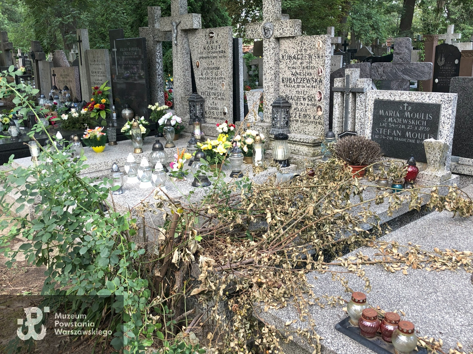 Źródło: Dorota Kotowska.