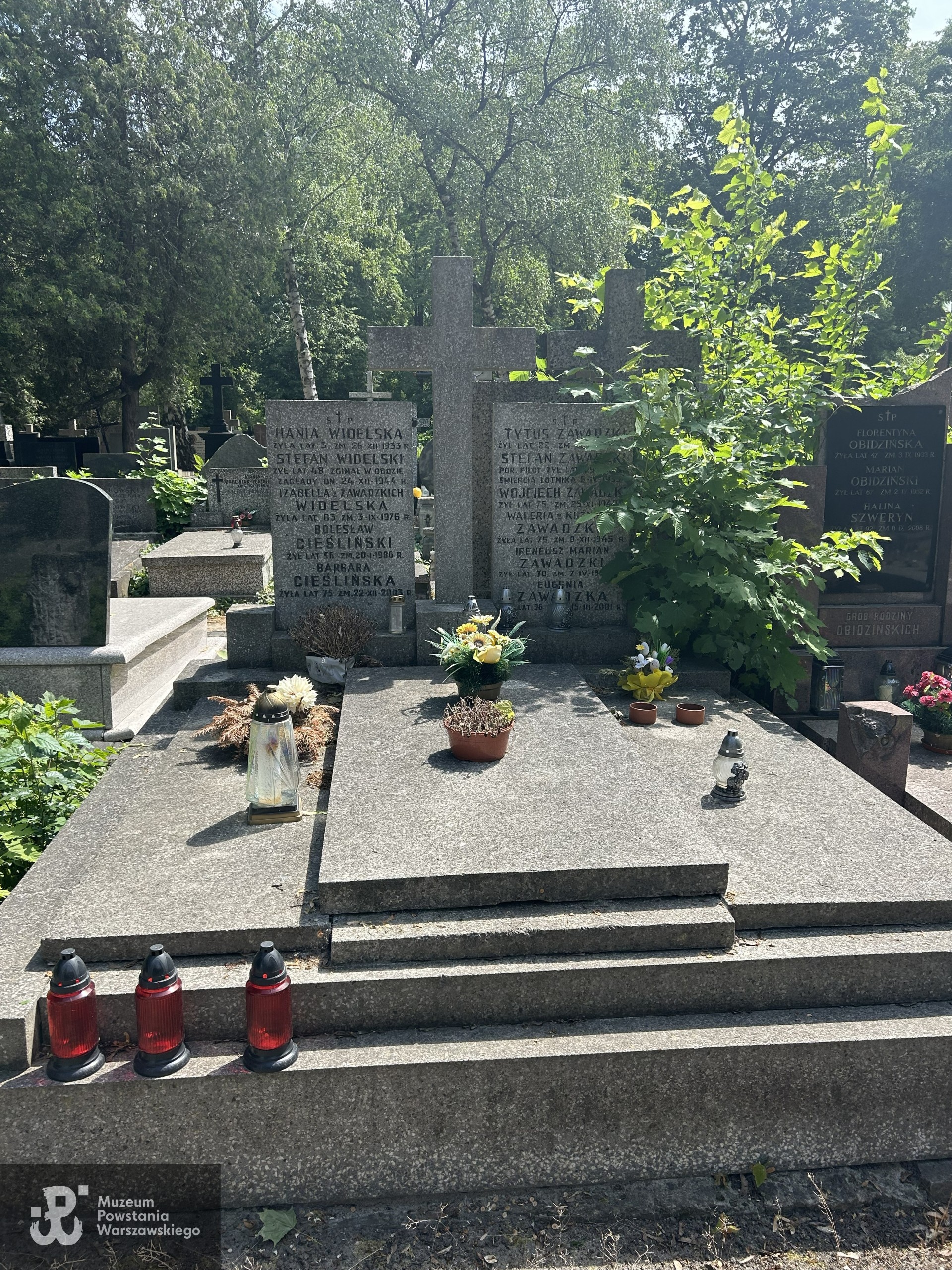 Źródło: VIII Liceum Ogólnokształcące im. Władysława IV w Warszawie.