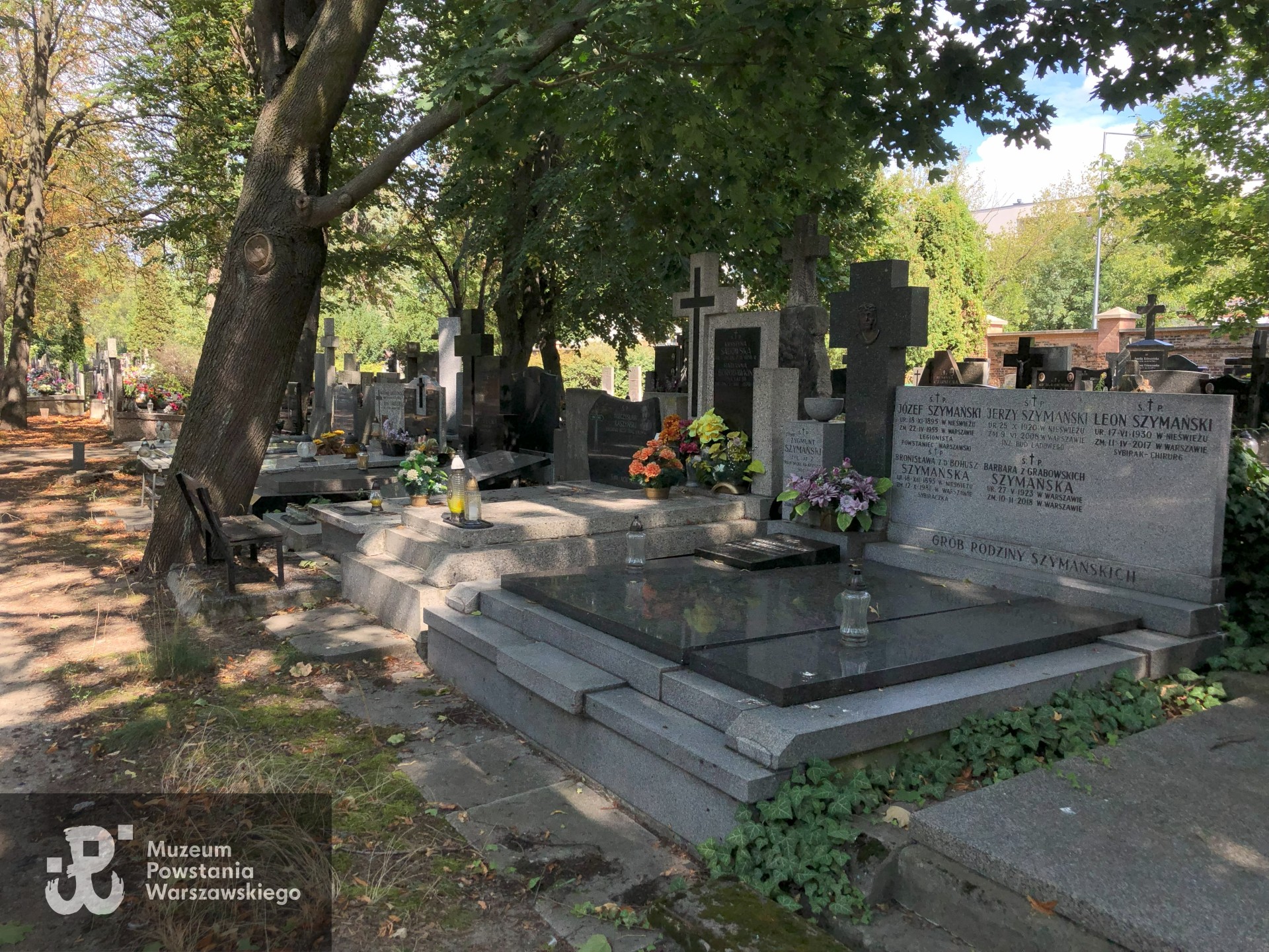 Źródło: Dorota Kotowska.