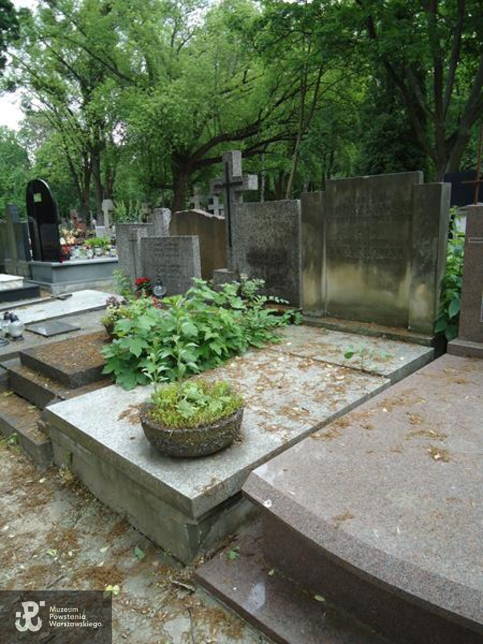 Źródło: https://cmentarze.um.warszawa.pl/pomnik.aspx?pom_id=43618 [dostęp: 09.06.2025].