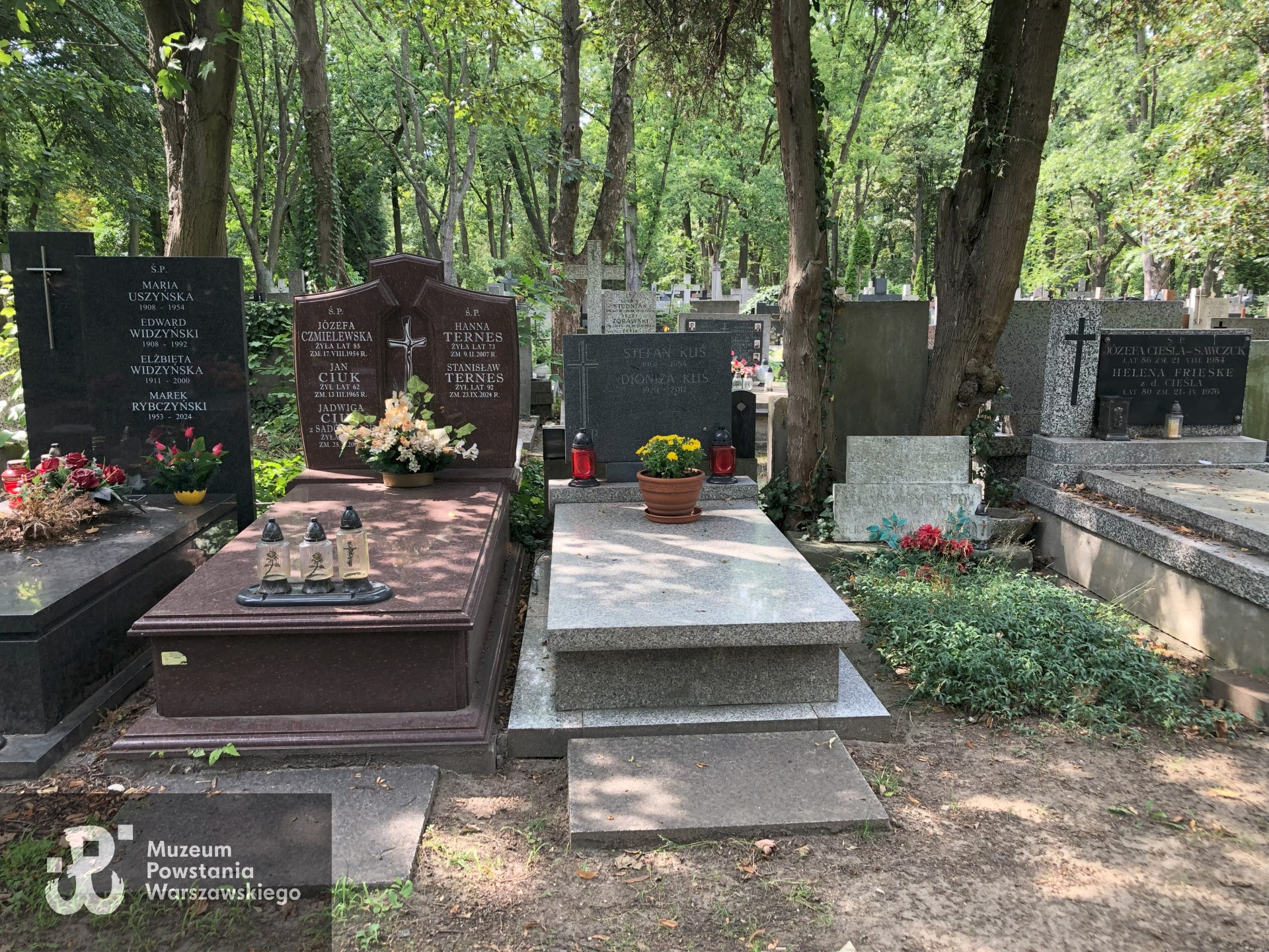 Źródło: Dorota Kotowska, Agnieszka Nowak.