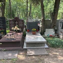 Źródło: Dorota Kotowska, Agnieszka Nowak.