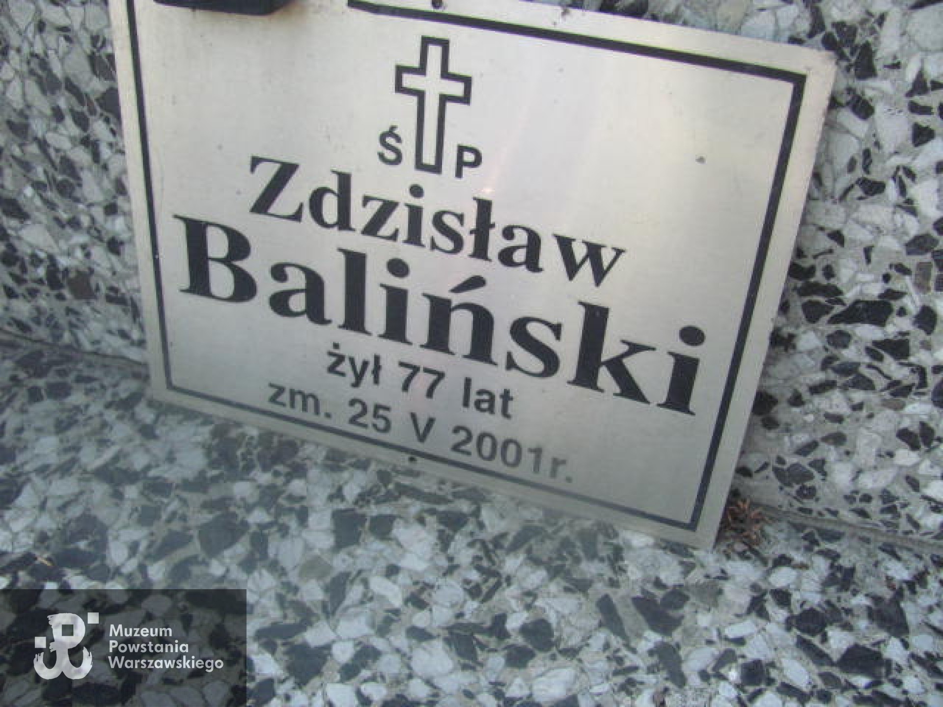 Źródło: https://warszawawlochy.grobonet.com/grobonet/start.php?id=detale&idg=16146&inni=0&cinki=0 [dostęp: 08.05.2025].