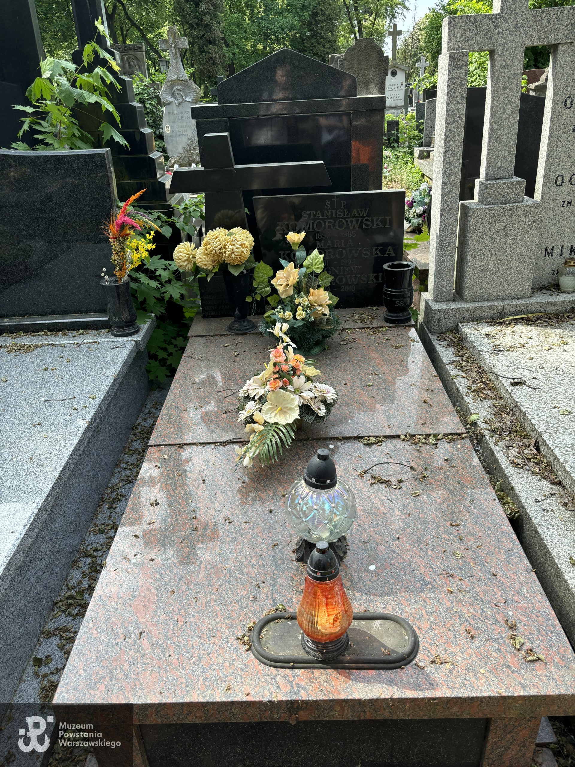 Źródło: VIII Liceum Ogólnokształcące im. Władysława IV w Warszawie.