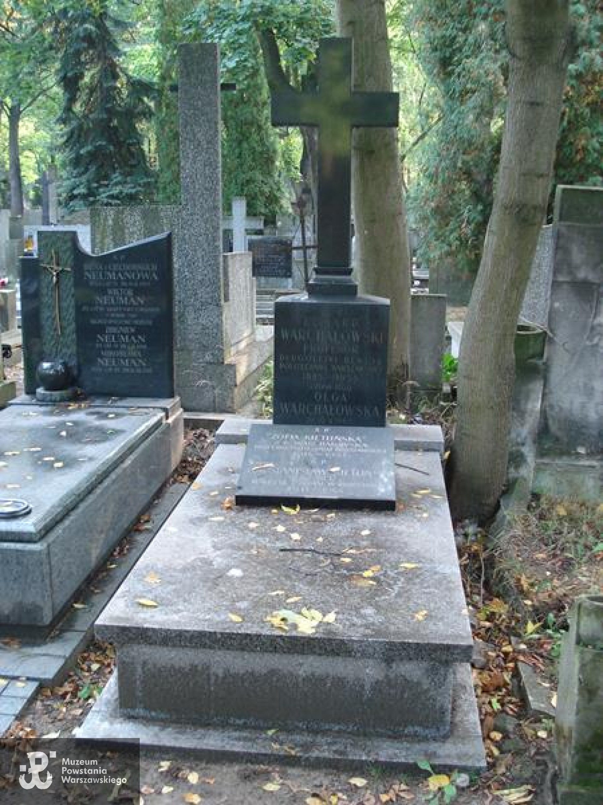 Grób symboliczny na Starych Powązkach w Warszawie. Źródło: https://cmentarze.um.warszawa.pl/pomnik.aspx?pom_id=35737 [dostęp: 9.02.2026].