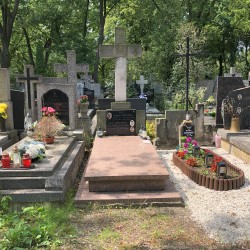 Źródło: Dorota Kotowska.