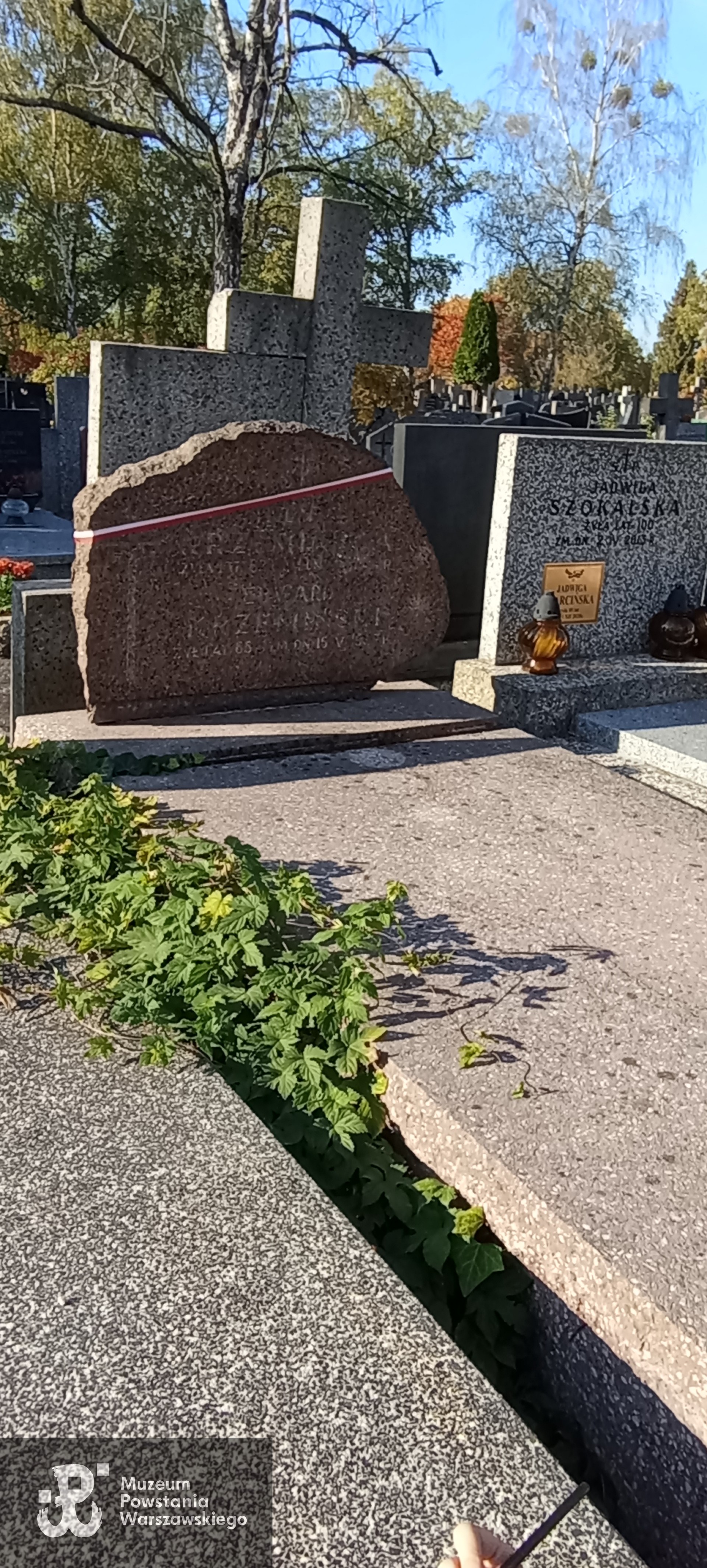 Źródło: Zespół Szkół nr 14 w Warszawie.