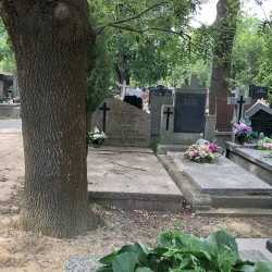 Źródło: Dorota Kotowska, Agnieszka Nowak.