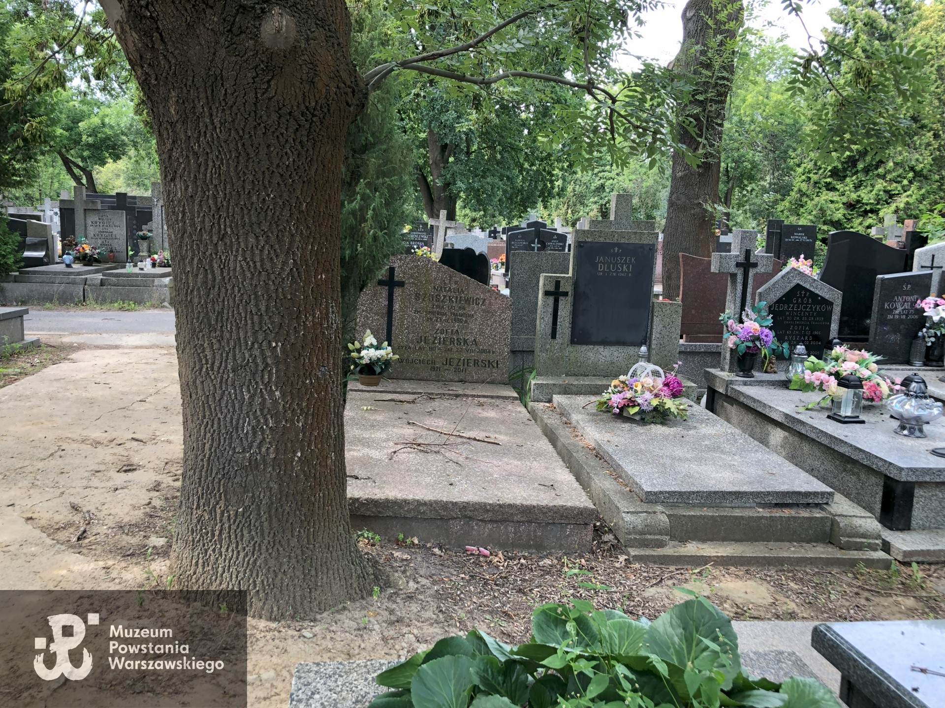 Źródło: Dorota Kotowska, Agnieszka Nowak.