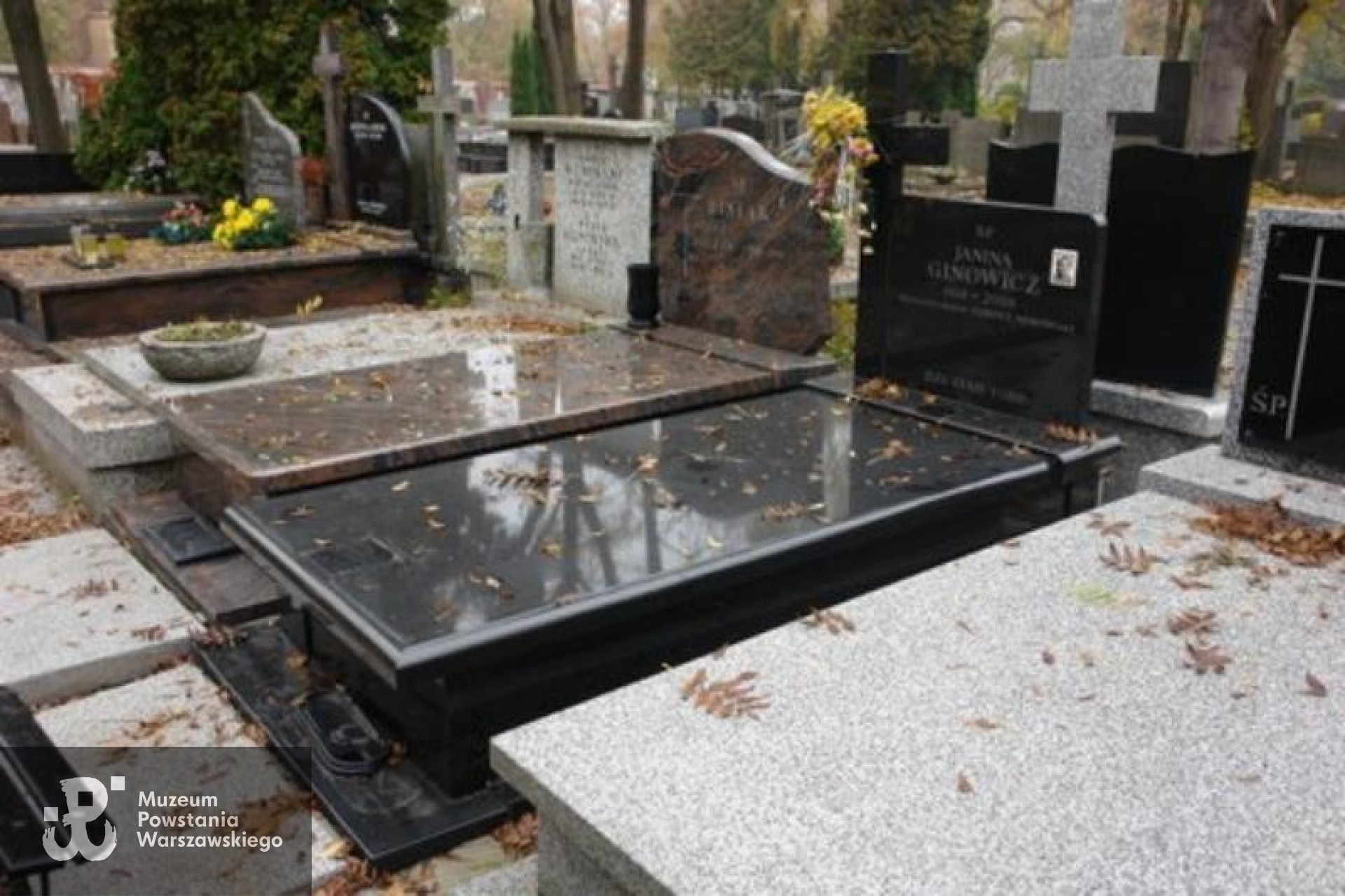 Źródło: https://cmentarze.um.warszawa.pl/pomnik.aspx?pom_id=30239 [dostęp: 17.03.2026].