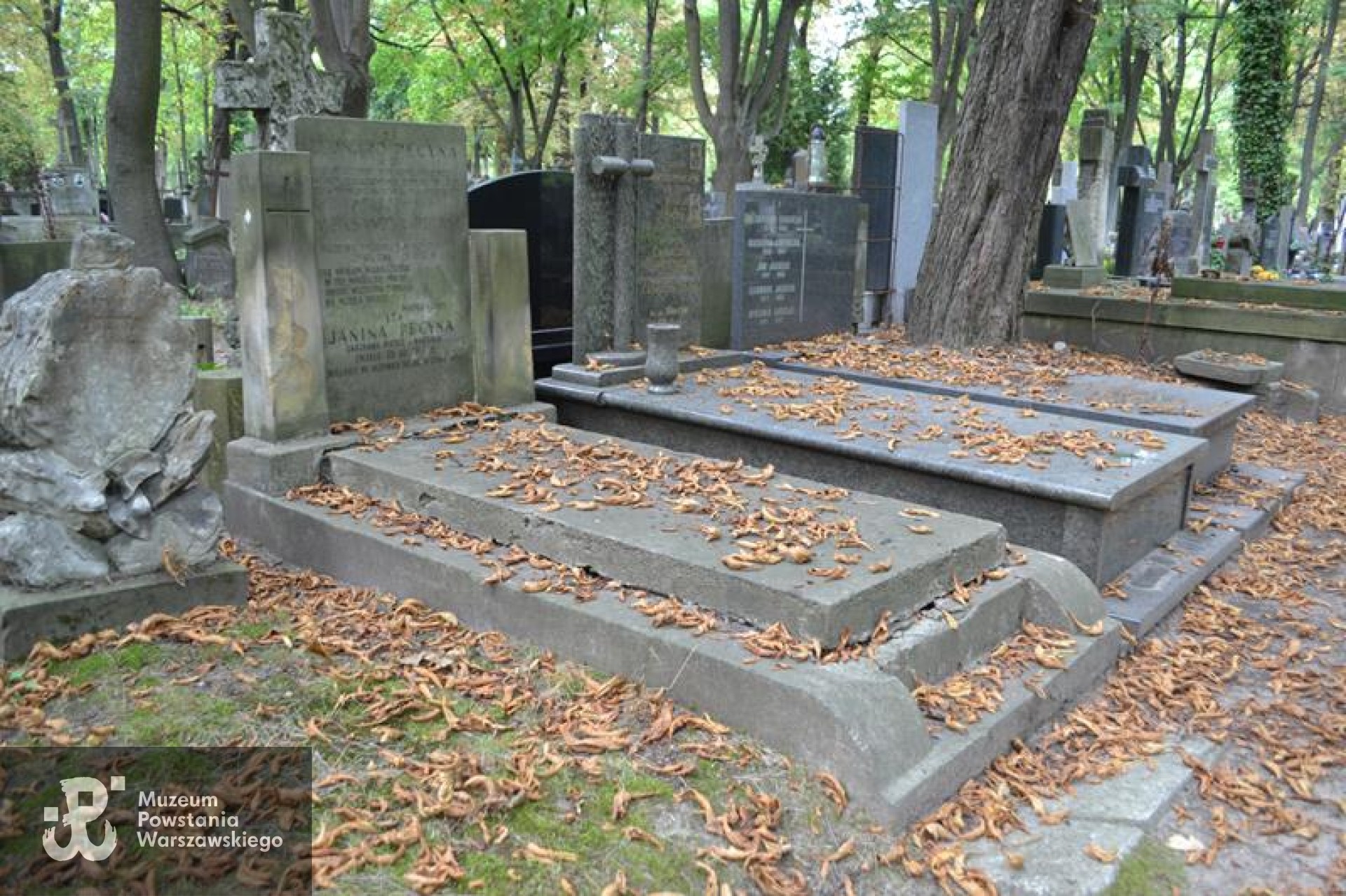 Grób na Starych Powązkach. Źródło: https://cmentarze.um.warszawa.pl/pomnik.aspx?pom_id=54094 [dostęp: 10.02.2026].