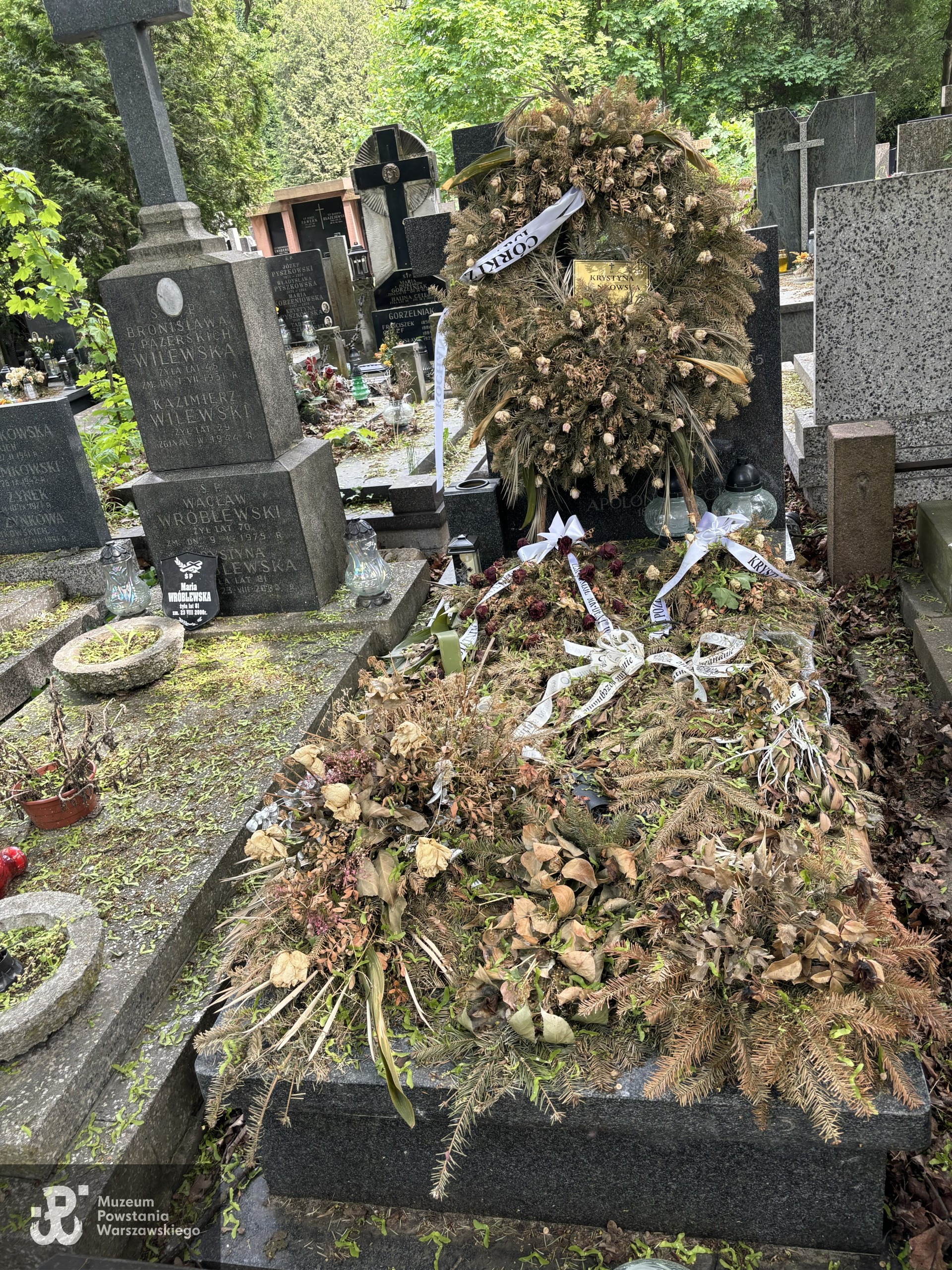 Źródło: VIII Liceum Ogólnokształcące im. Władysława IV w Warszawie.