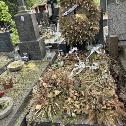 Źródło: VIII Liceum Ogólnokształcące im. Władysława IV w Warszawie.