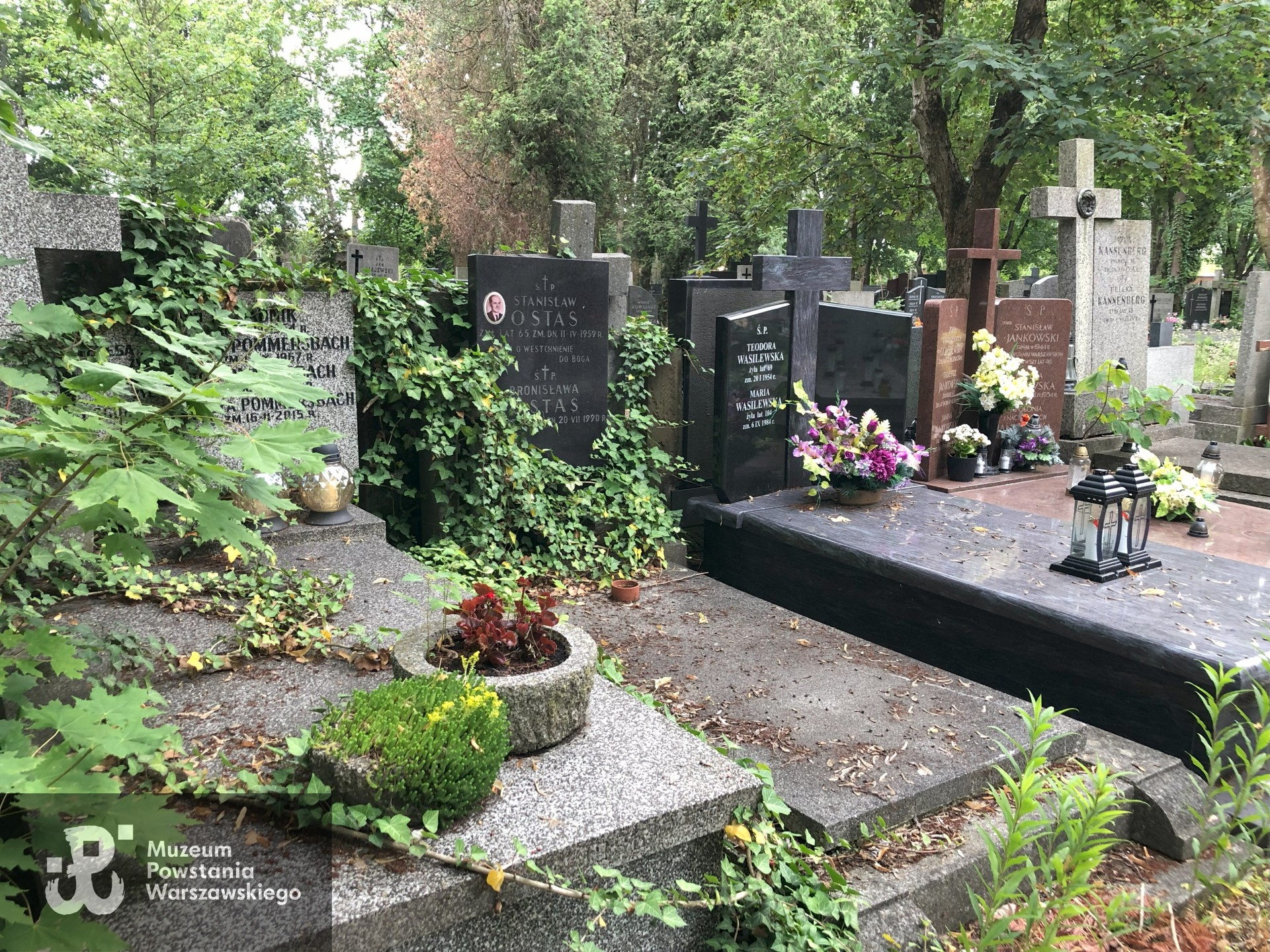 Źródło: Dorota Kotowska.