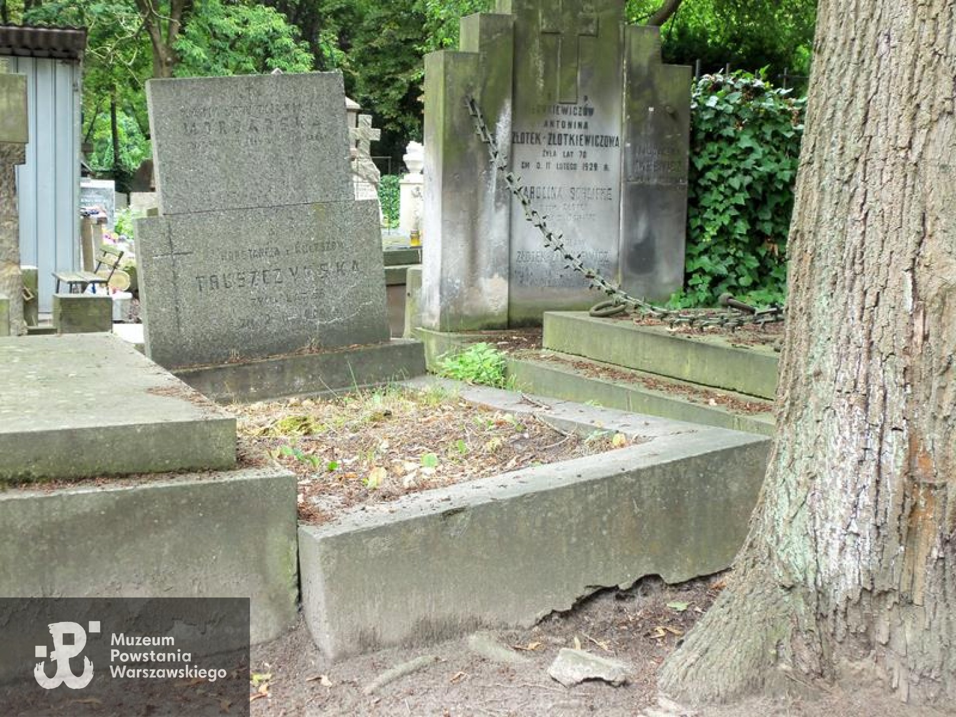 Źródło: https://cmentarze.um.warszawa.pl/pomnik.aspx?pom_id=32233 [dostęp: 23.04.2025].