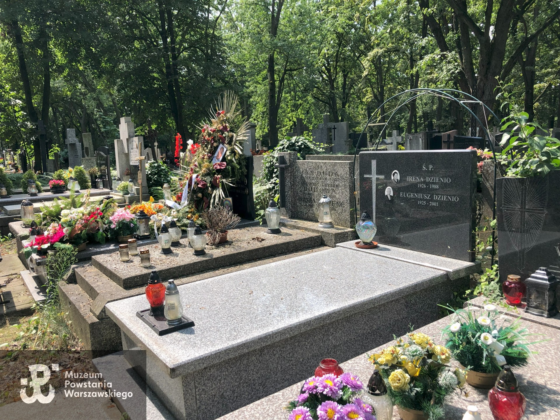 Źródło: Dorota Kotowska.