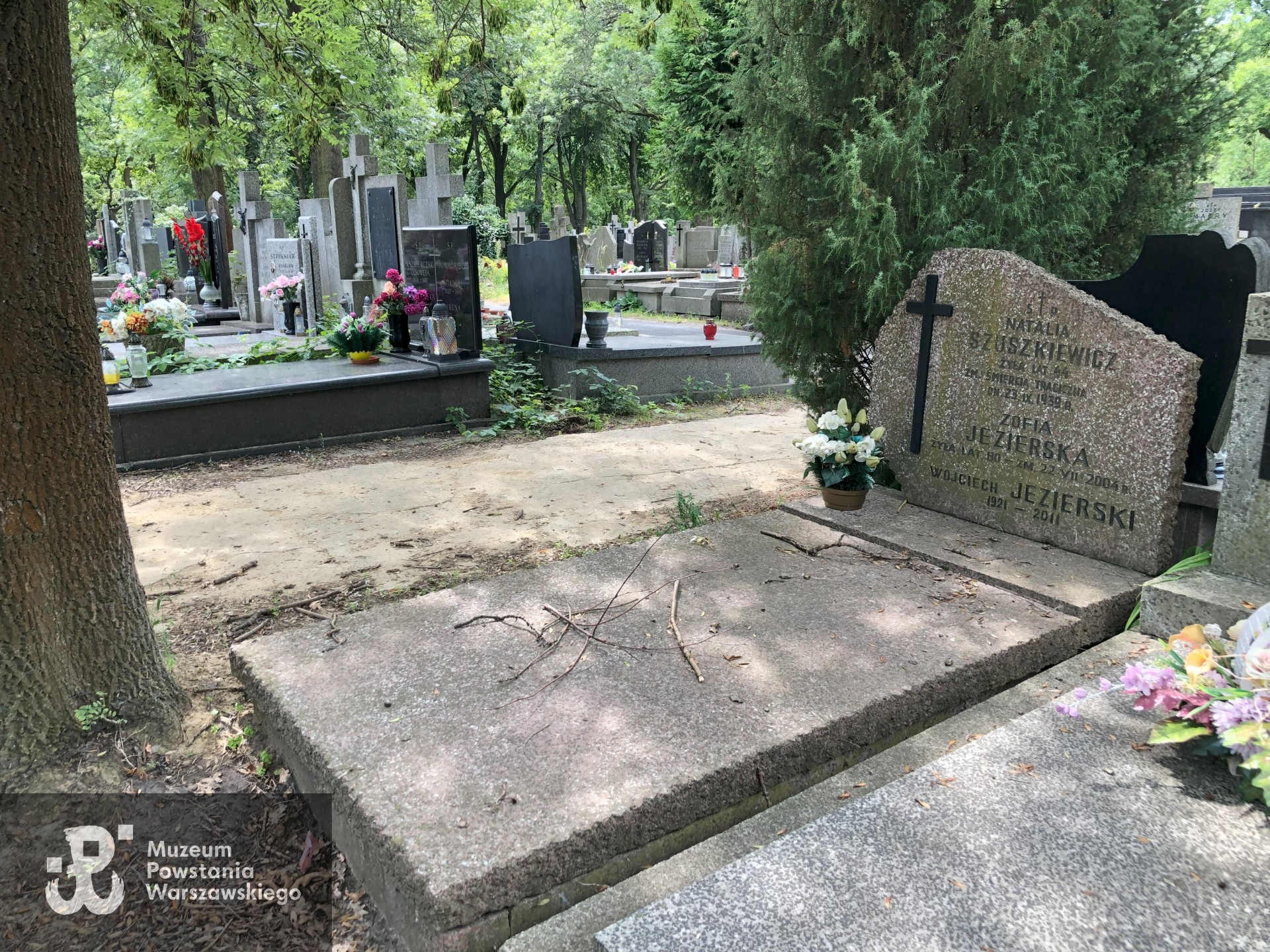 Źródło: Dorota Kotowska, Agnieszka Nowak.