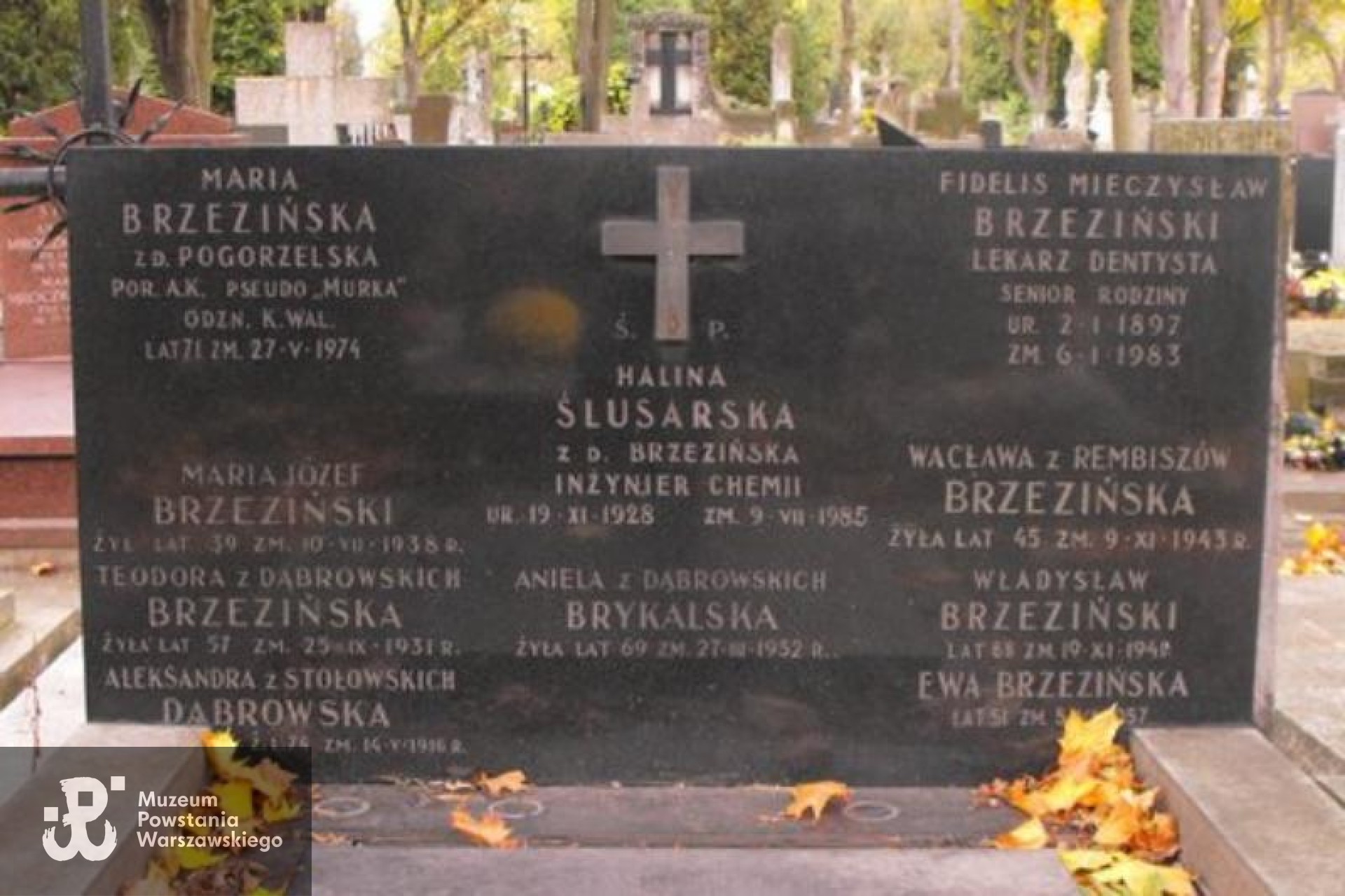 Źródło: https://cmentarze.um.warszawa.pl/pomnik.aspx?pom_id=25740 [dostęp: 11.06.2025].